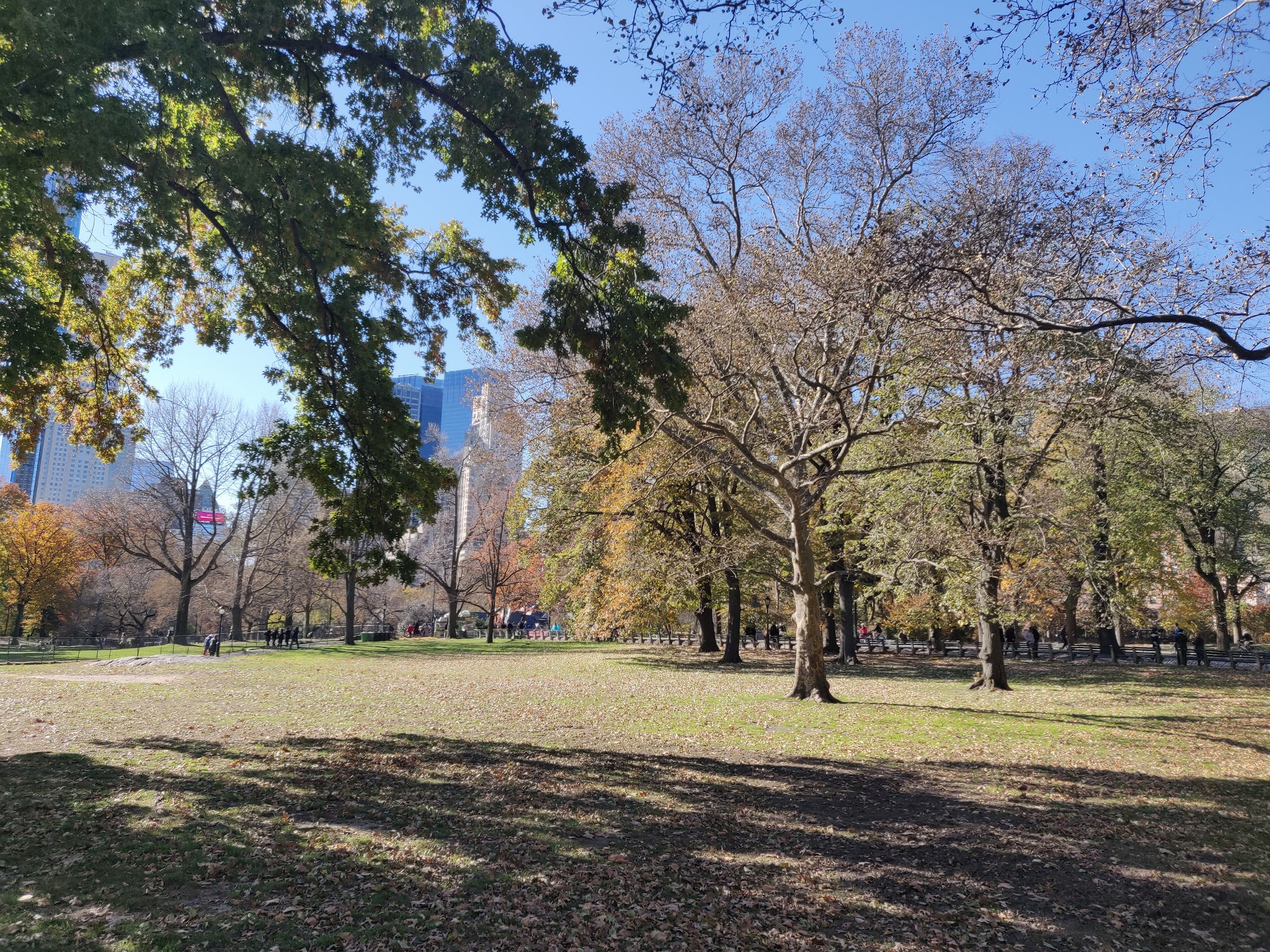 Sheep Meadow - New York, NY
