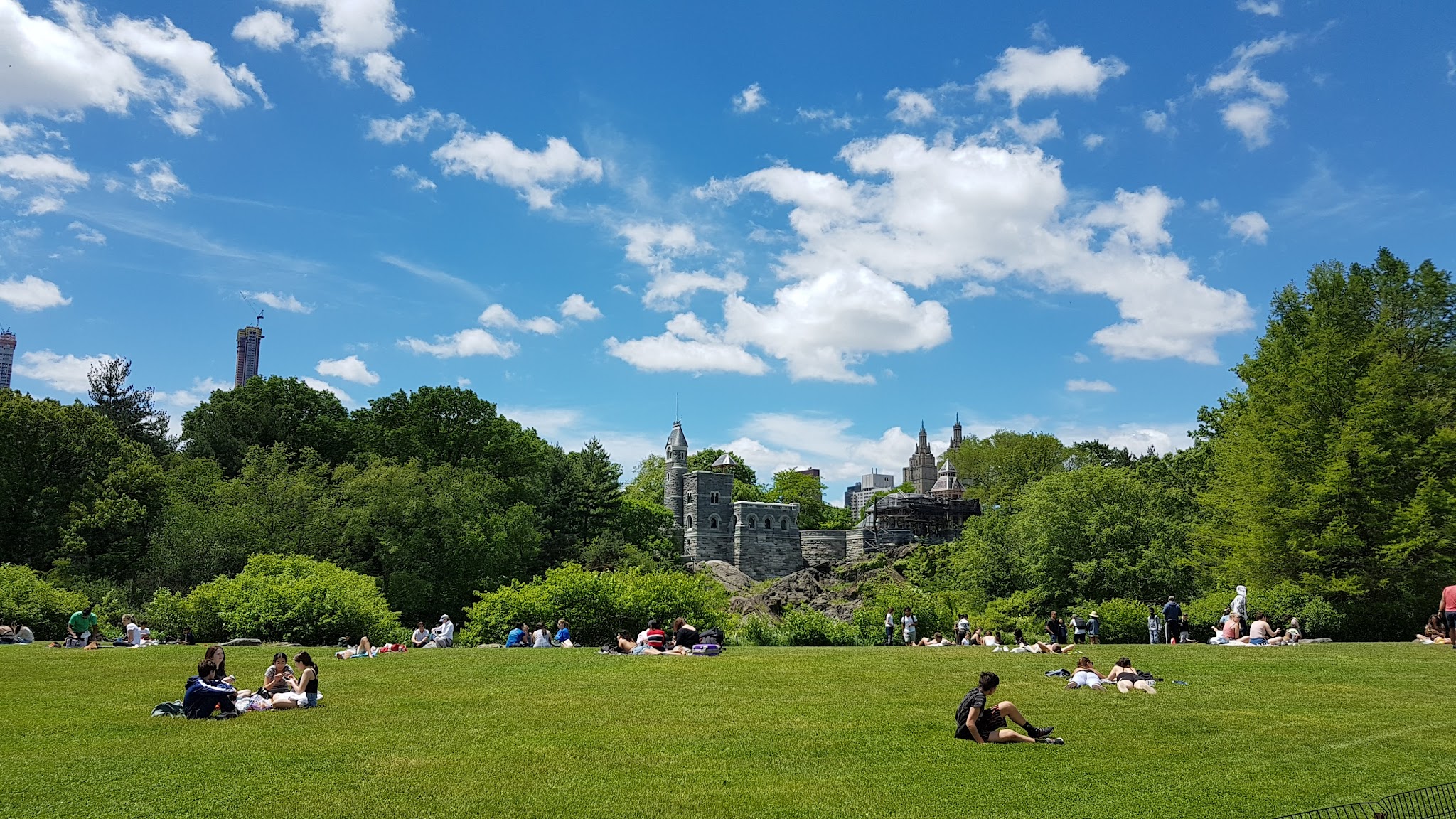 The Great Lawn - New York, NY