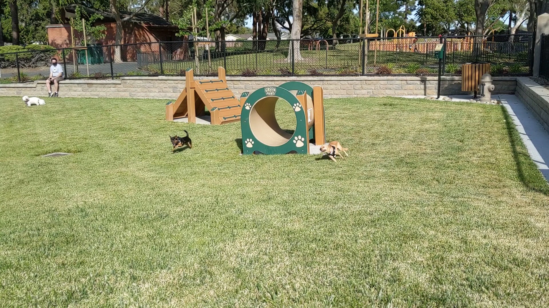 Newbark Dog Park - Newark, CA