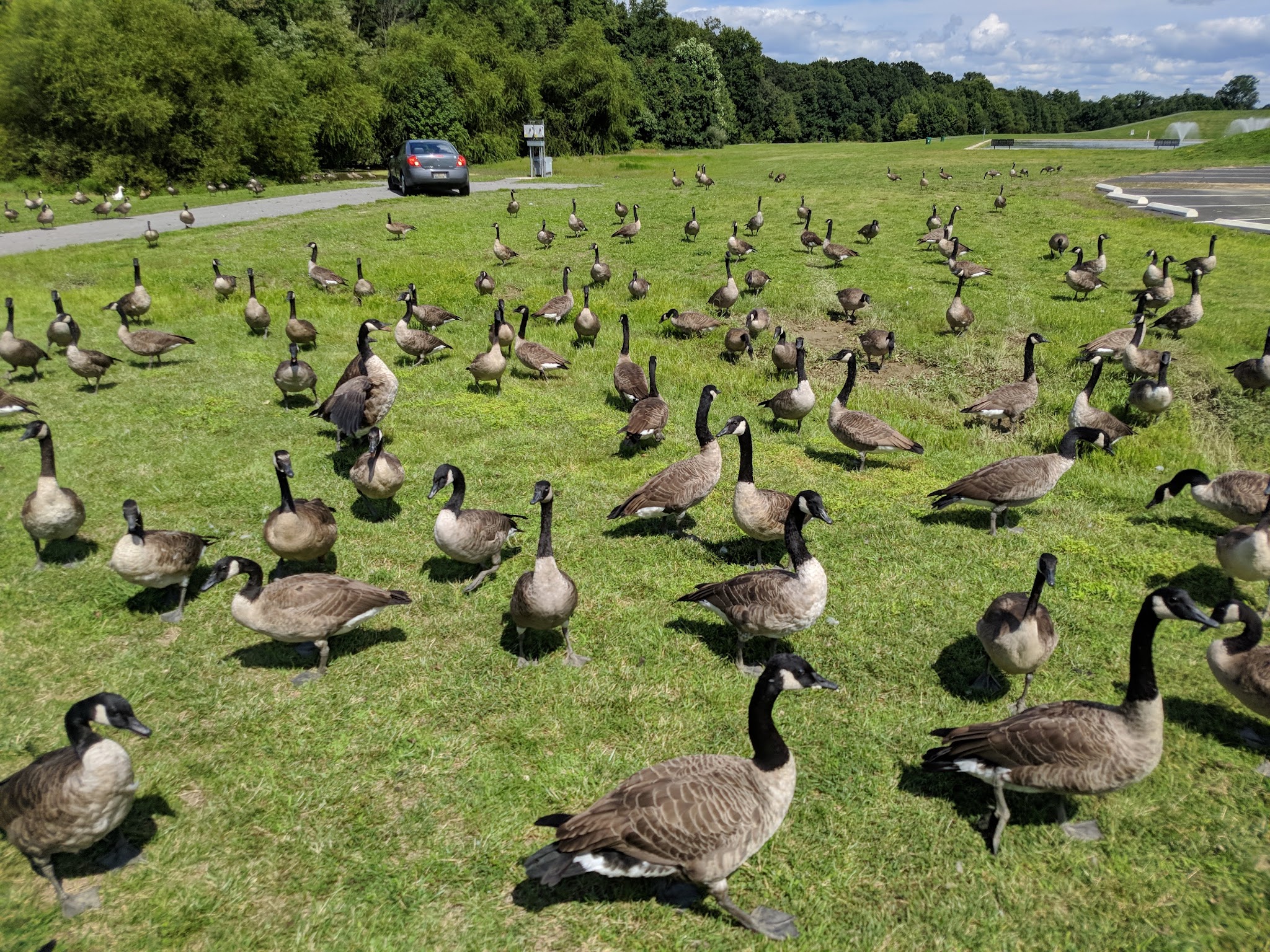 Glasgow Regional Park - Newark, DE