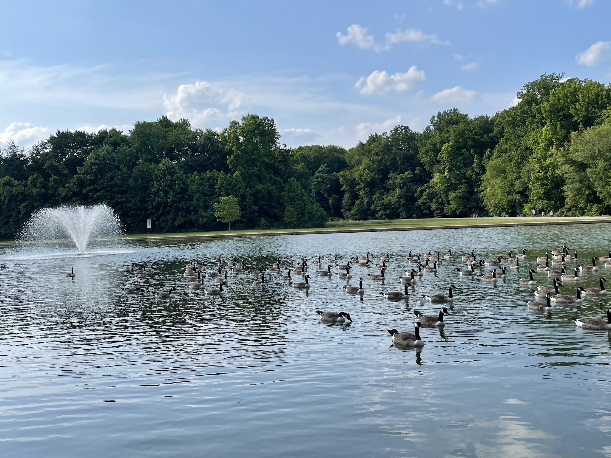 Glasgow Regional Park - Newark, DE