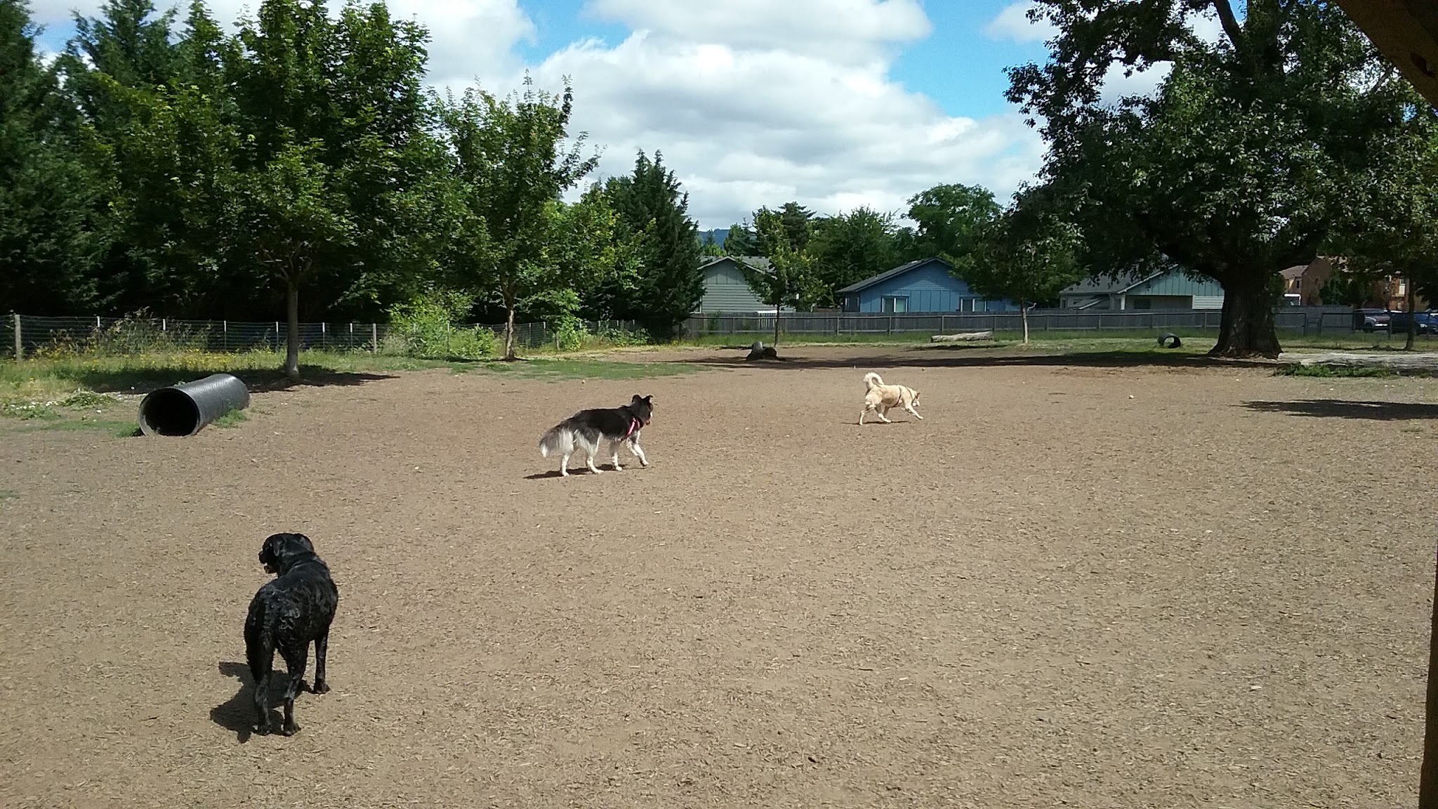 Newberg Dog Park - Newberg, OR