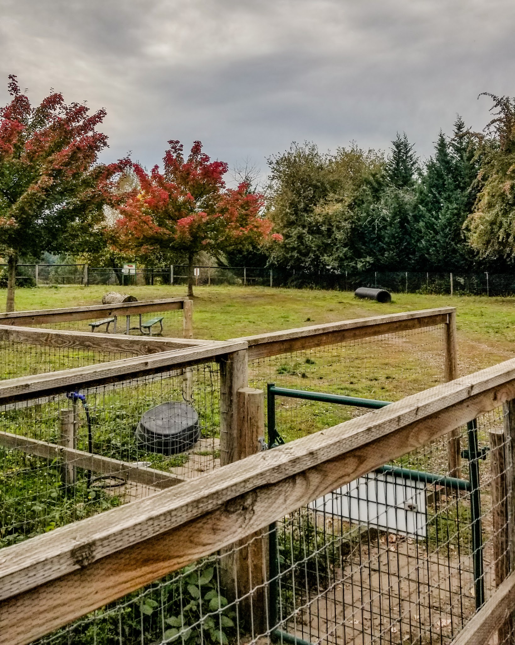 Newberg Dog Park - Newberg, OR
