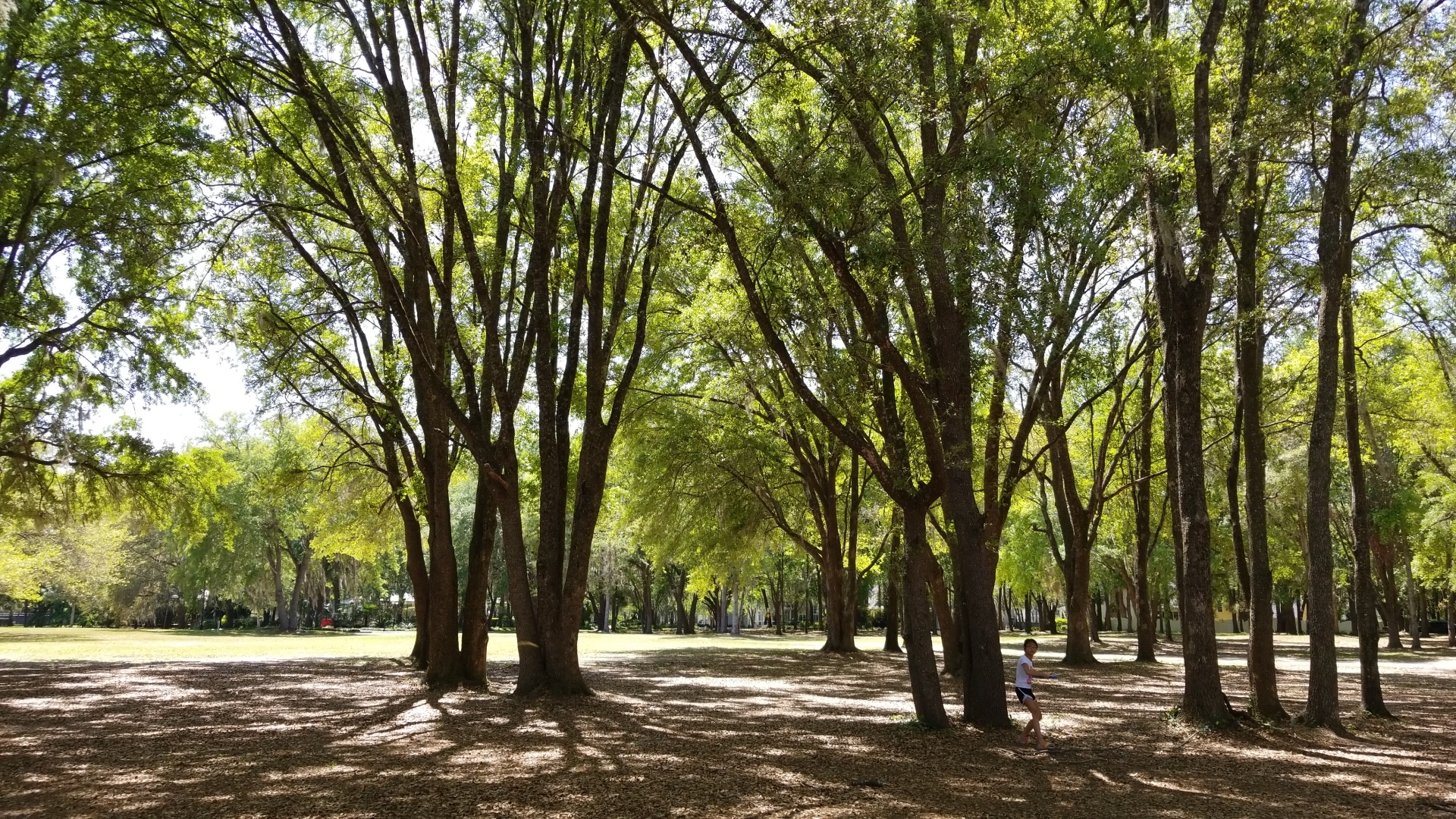 Town of Tioga Playground - Newberry, FL