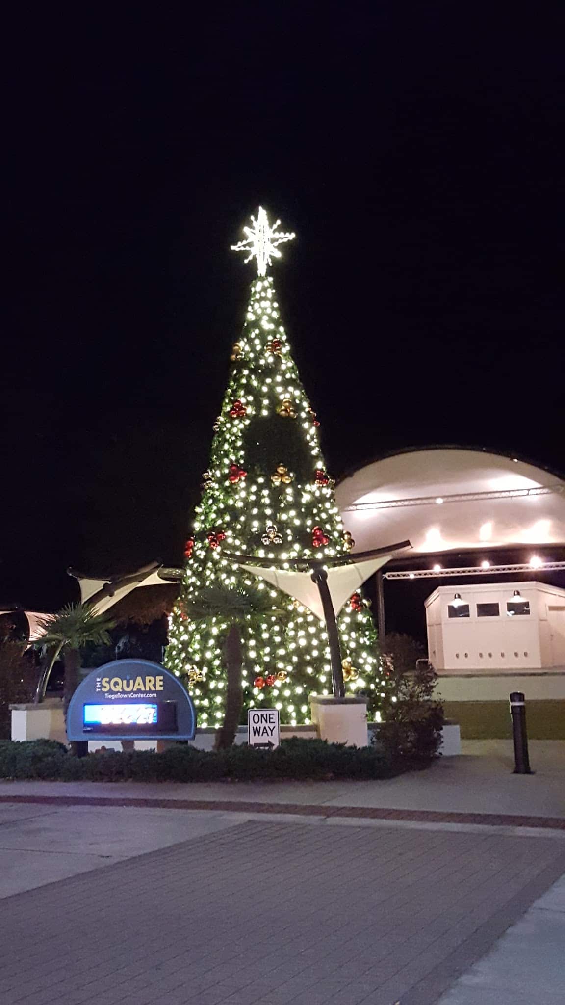 Town of Tioga Playground - Newberry, FL