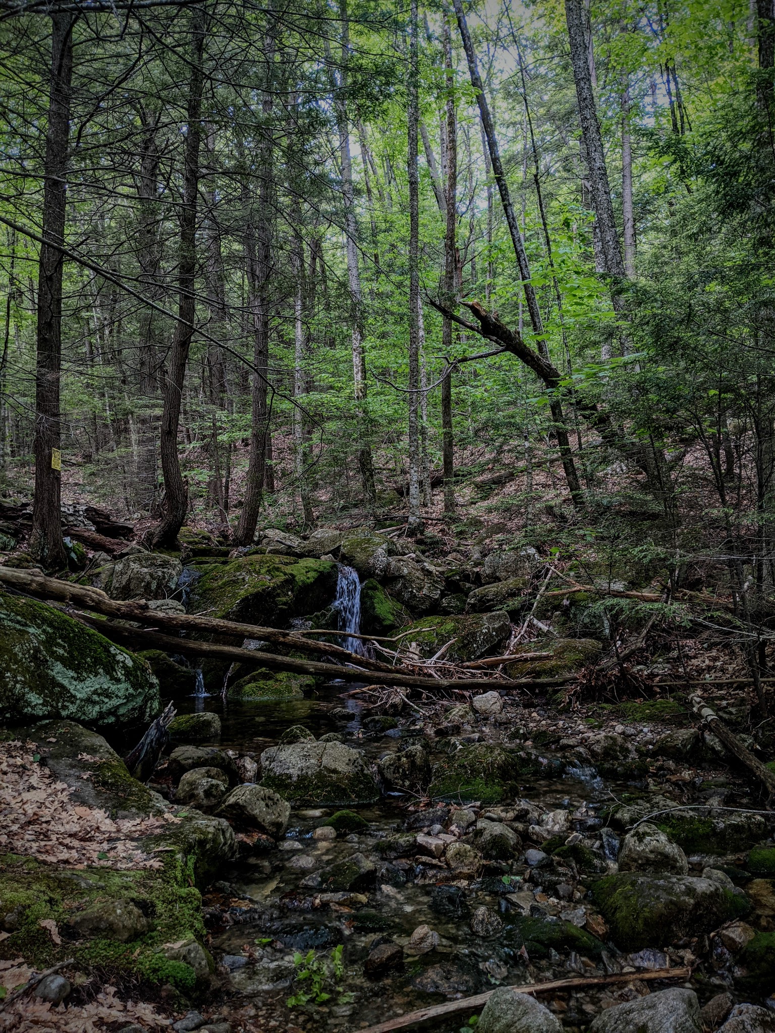 Newbury Trail - Newbury, NH