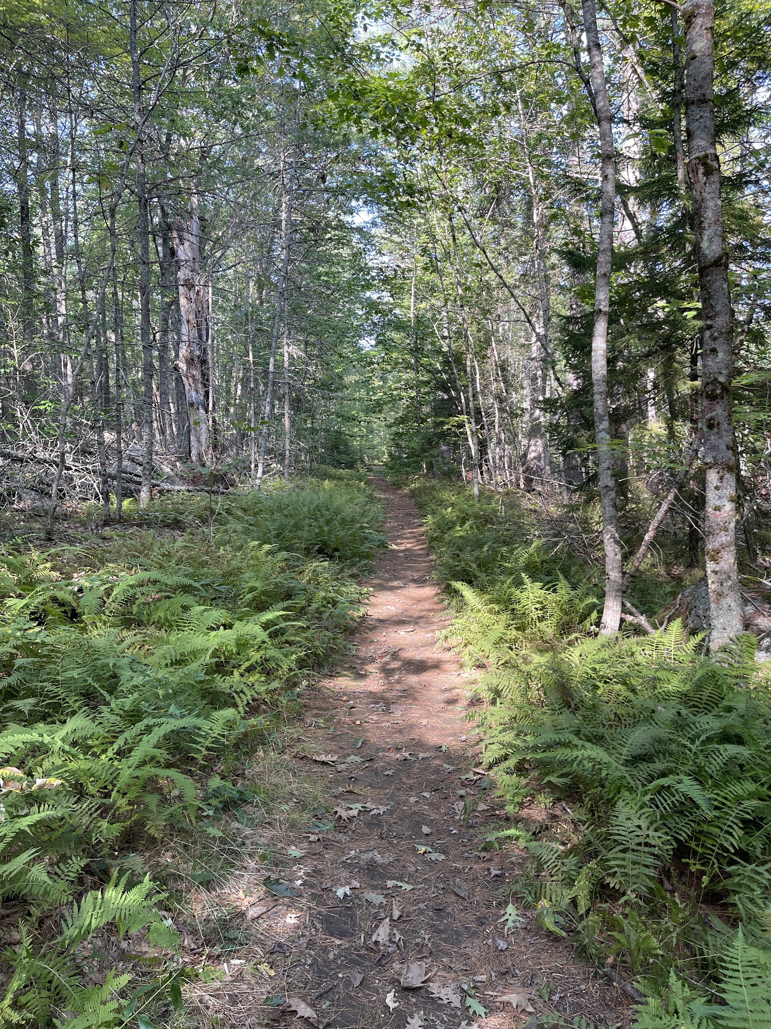 Dodge Point Preserve Trail Head - Newcastle, ME