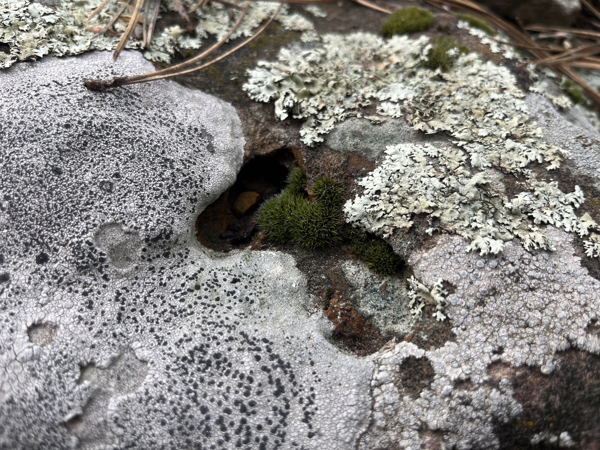 Serenity Trail - Newcastle, WY