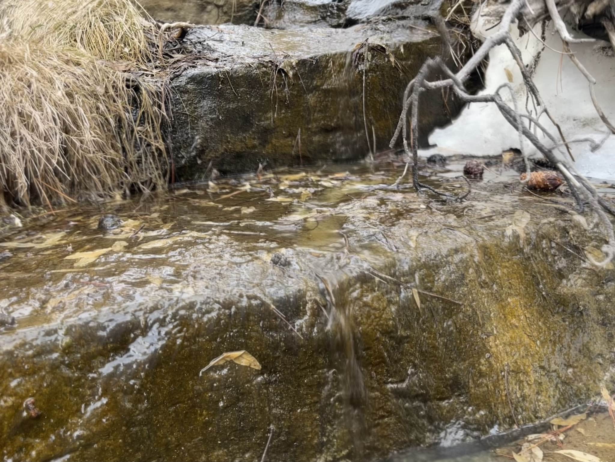 Serenity Trail - Newcastle, WY