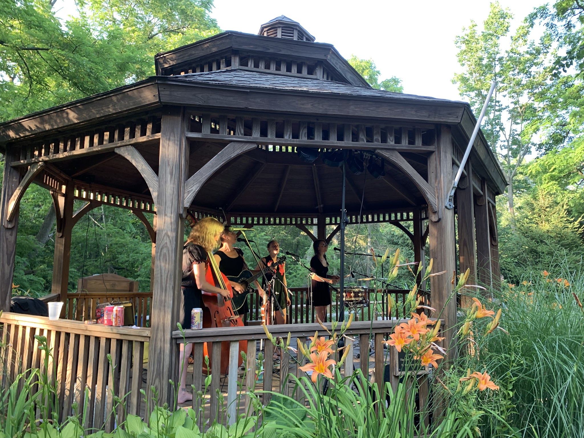 Mill Park - Newfield, NY