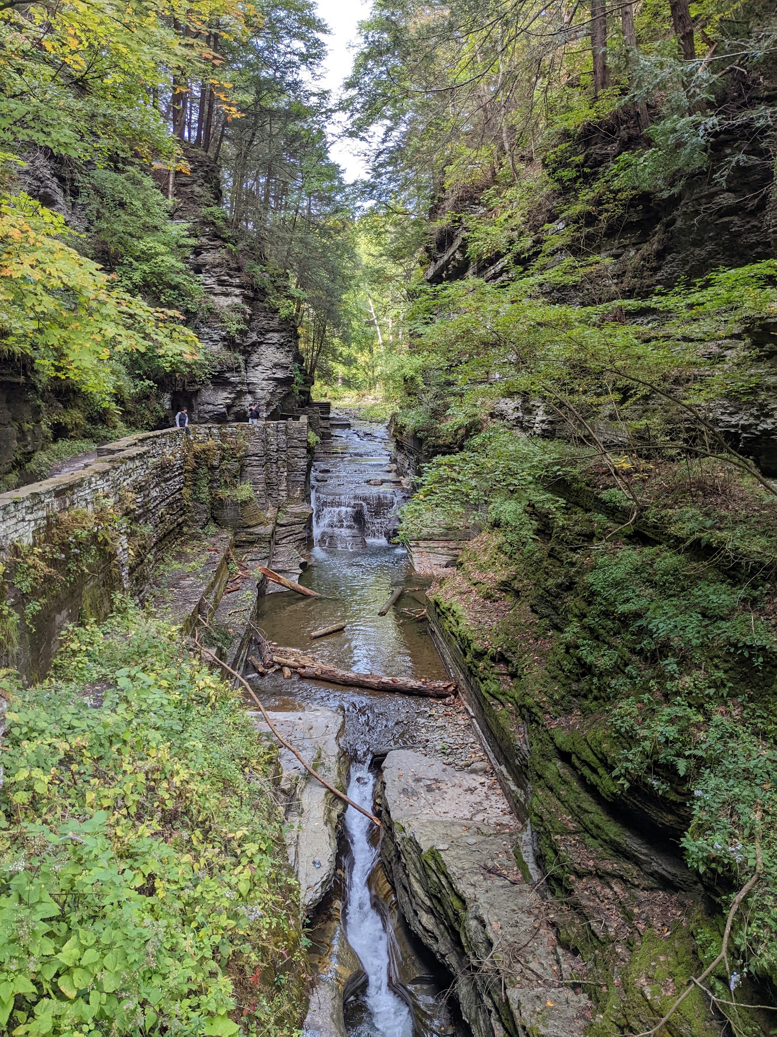 Robert H. Treman State Park - Newfield, NY