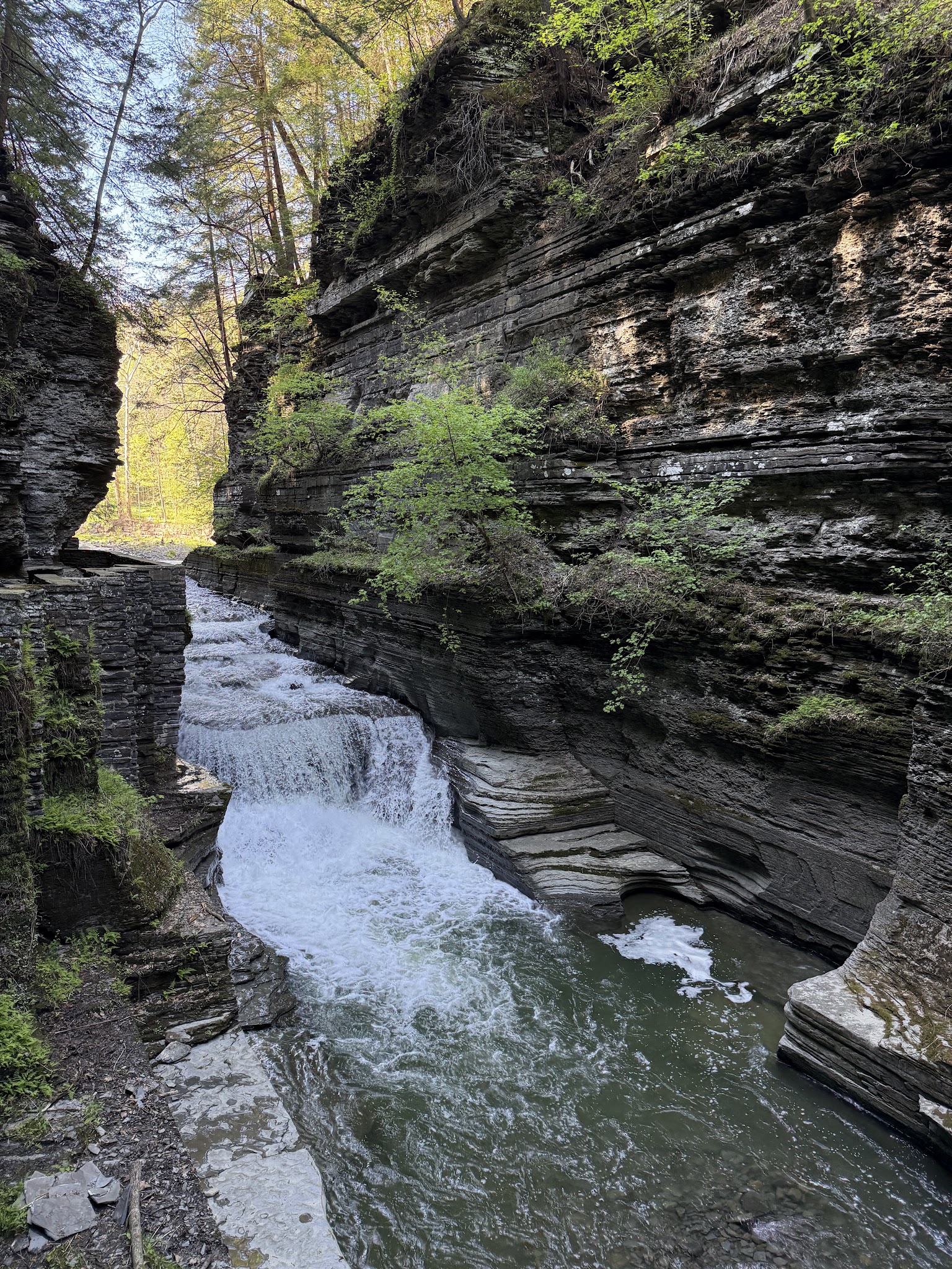Robert H. Treman State Park - Newfield, NY