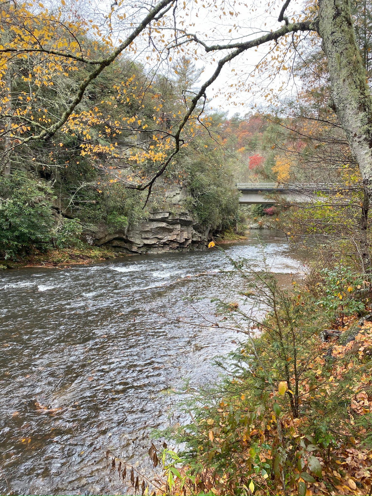 Linville Falls Picnic Area - Newland, NC