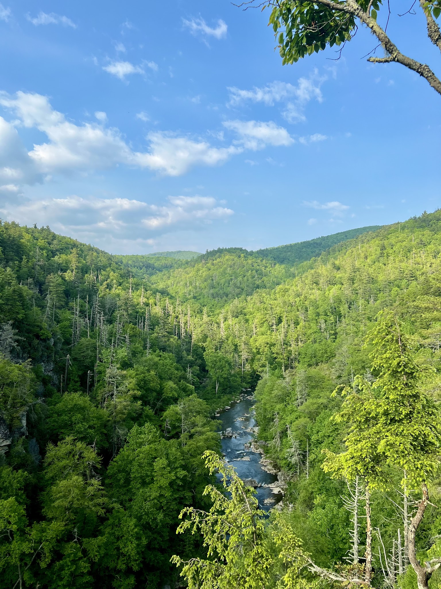Linville Falls - Trail and Waterfall - Newland, NC