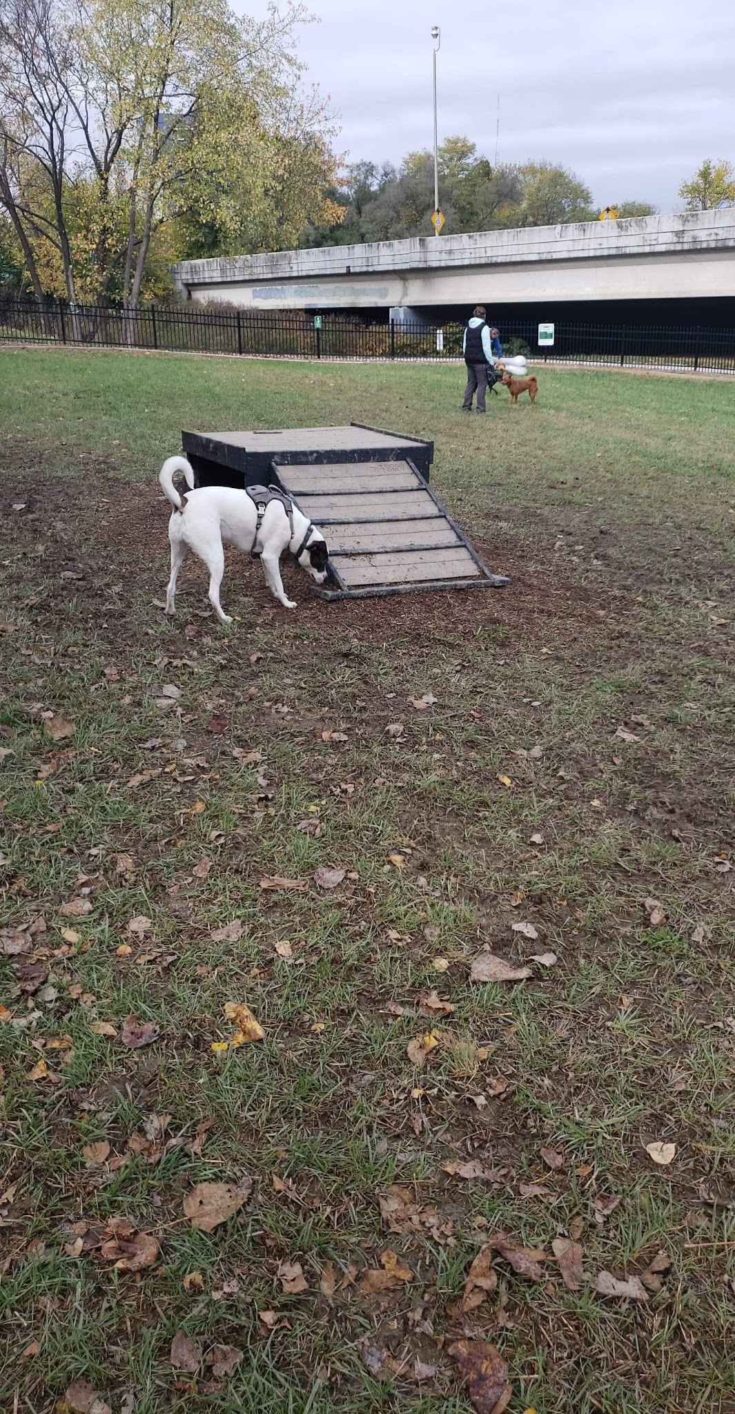 East Row Dog Park - Newport, KY
