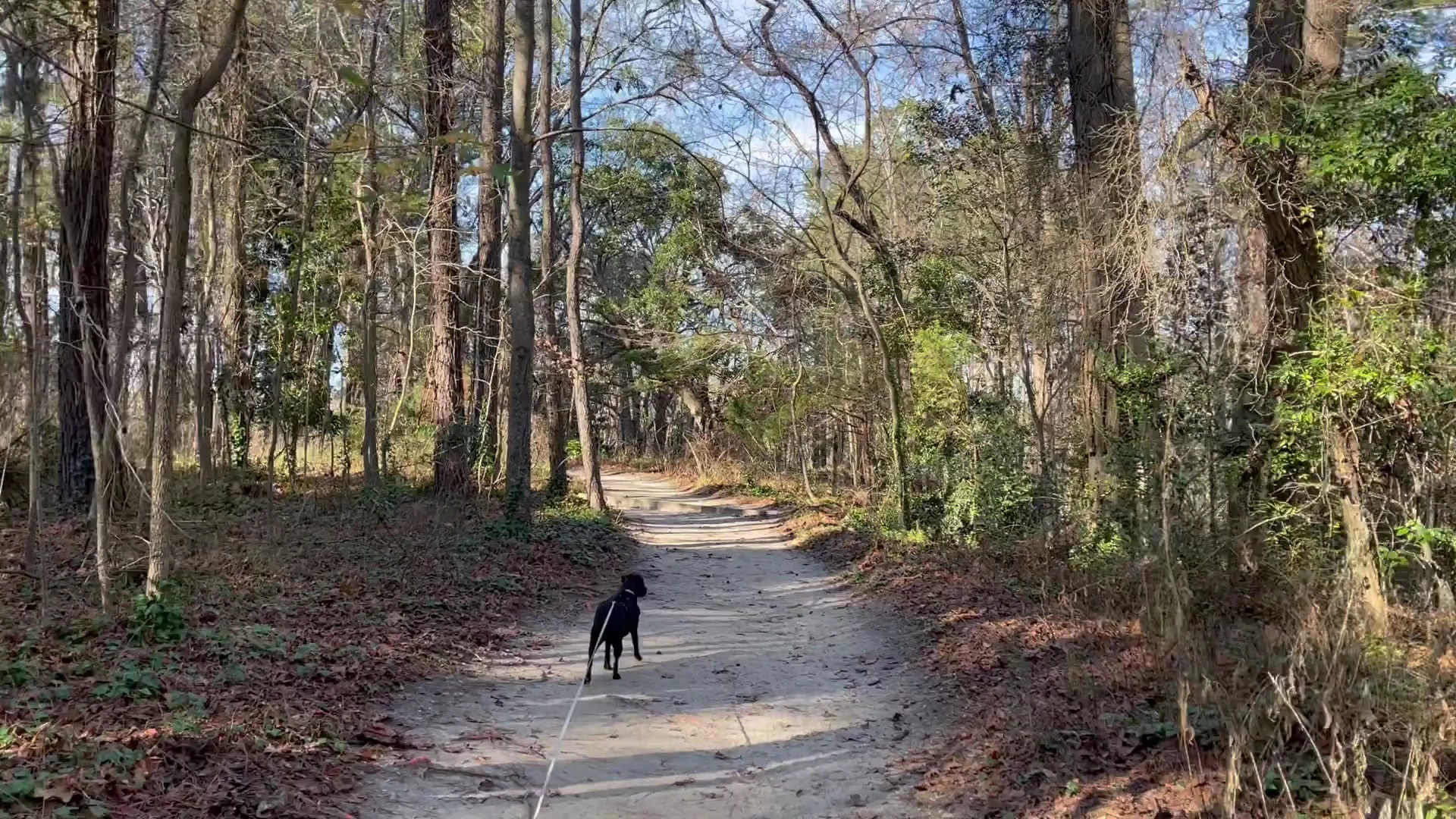 The Noland Trail - Newport News, VA