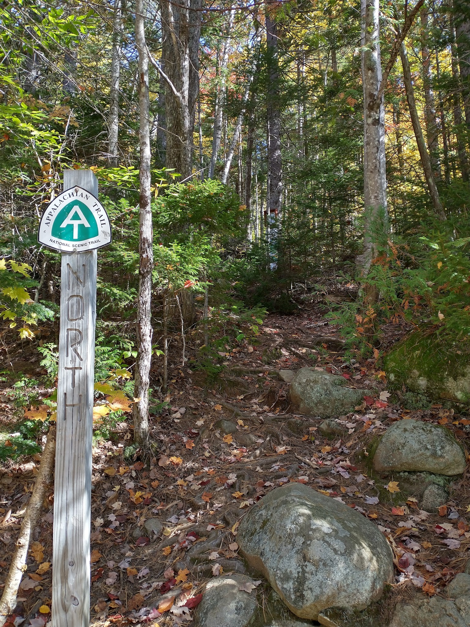 Appalachian Trail & Dunn Trail Crossing at Andover Rd ME - Newry, ME