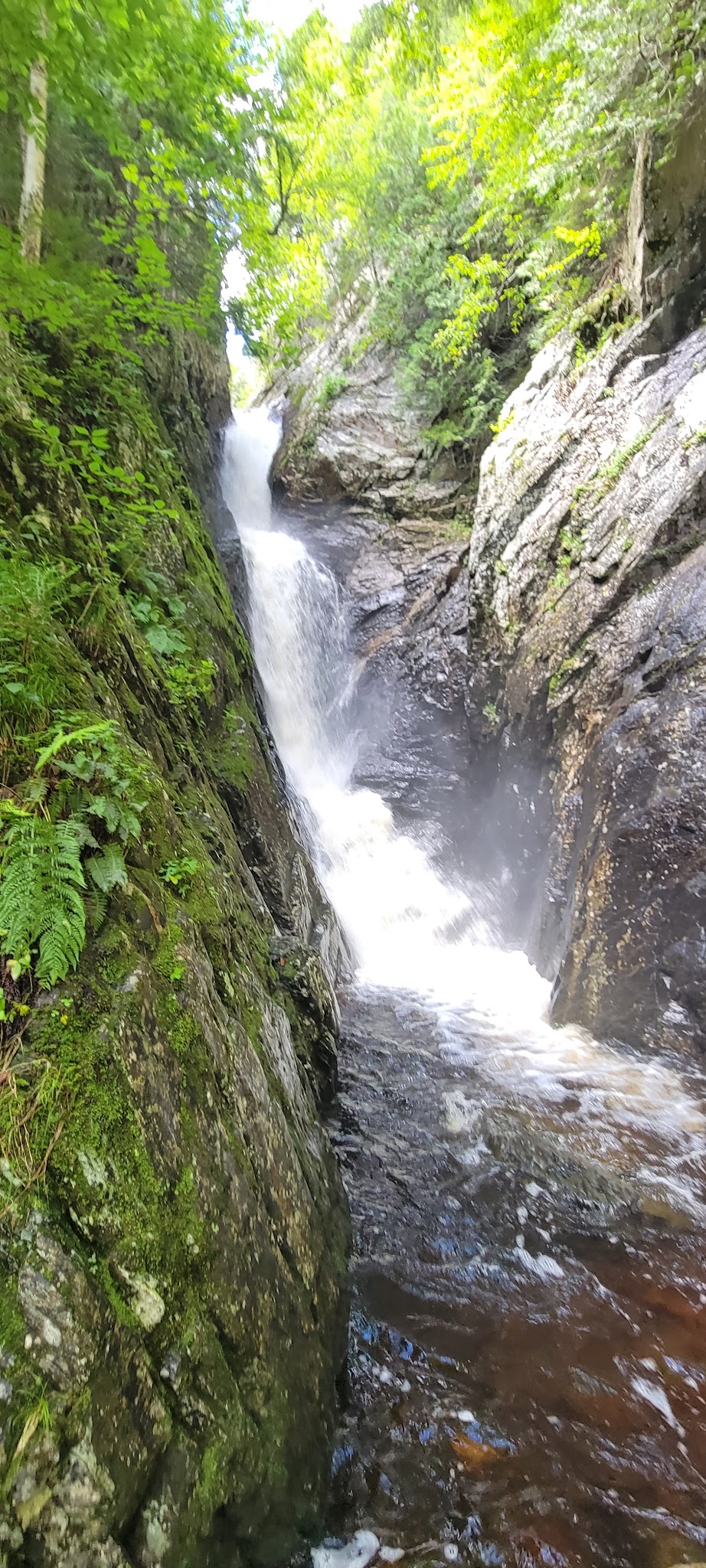 Appalachian Trail & Dunn Trail Crossing at Andover Rd ME - Newry, ME