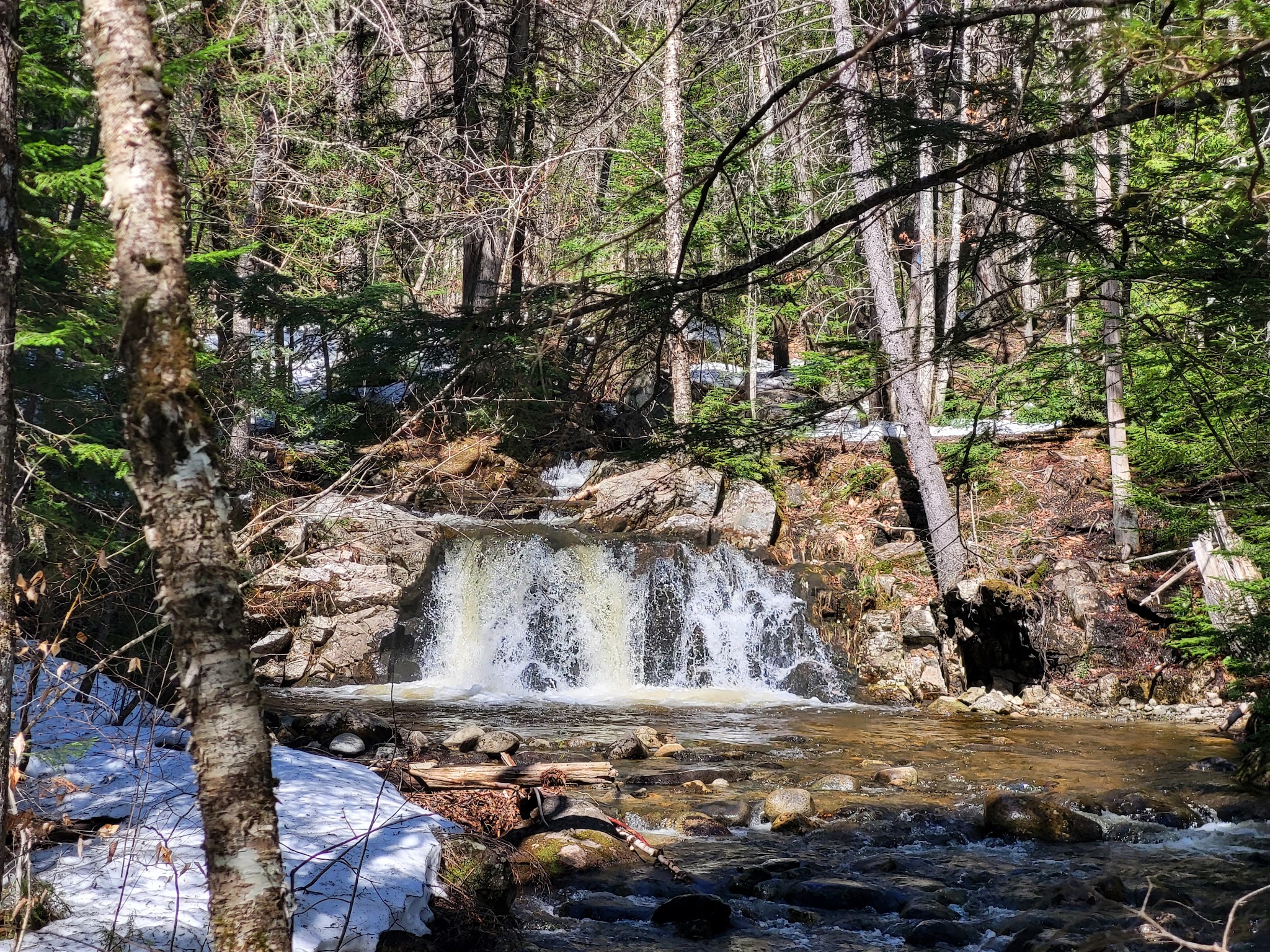 Appalachian Trail & Dunn Trail Crossing at Andover Rd ME - Newry, ME