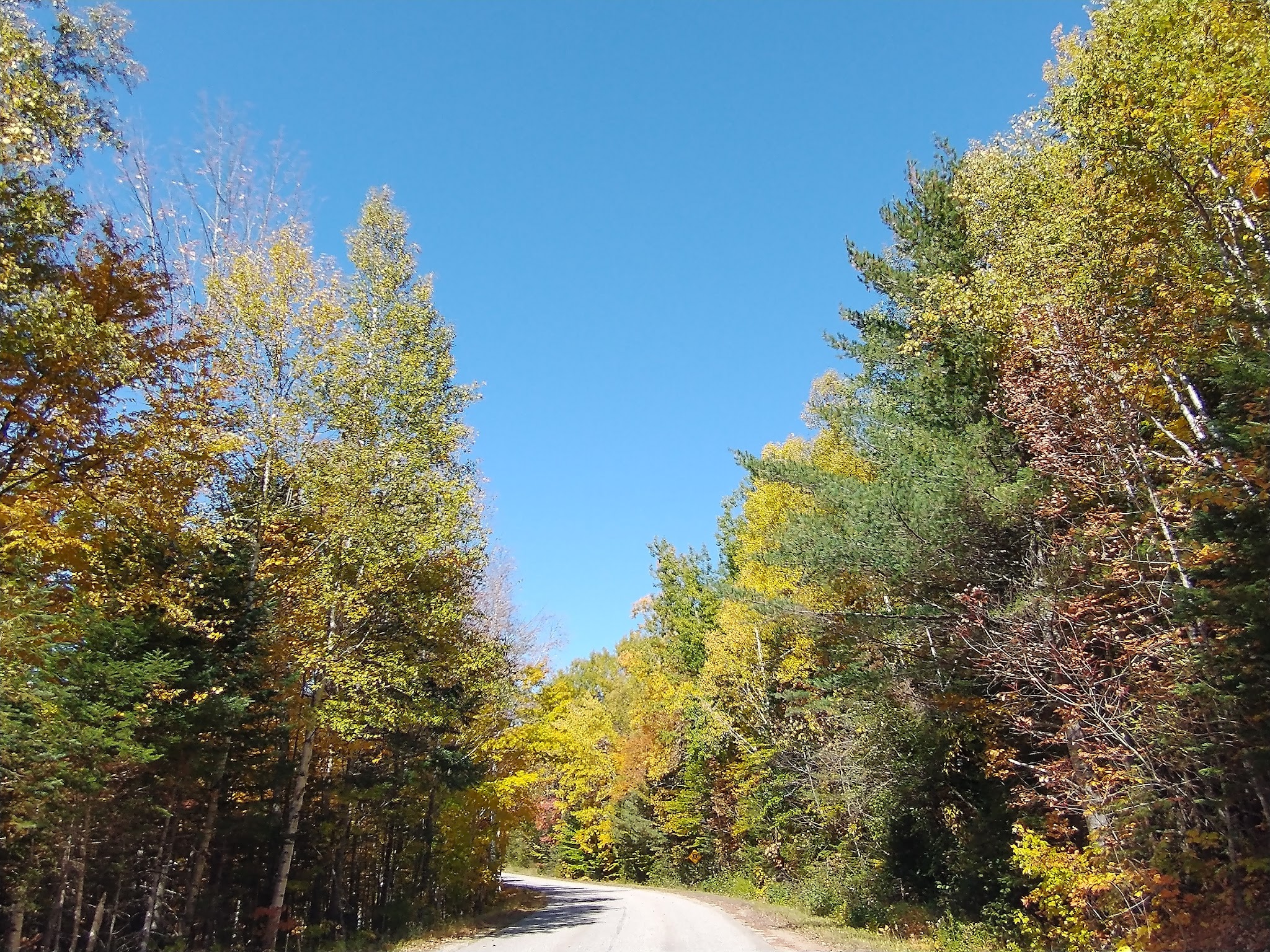 Appalachian Trail & Dunn Trail Crossing at Andover Rd ME - Newry, ME