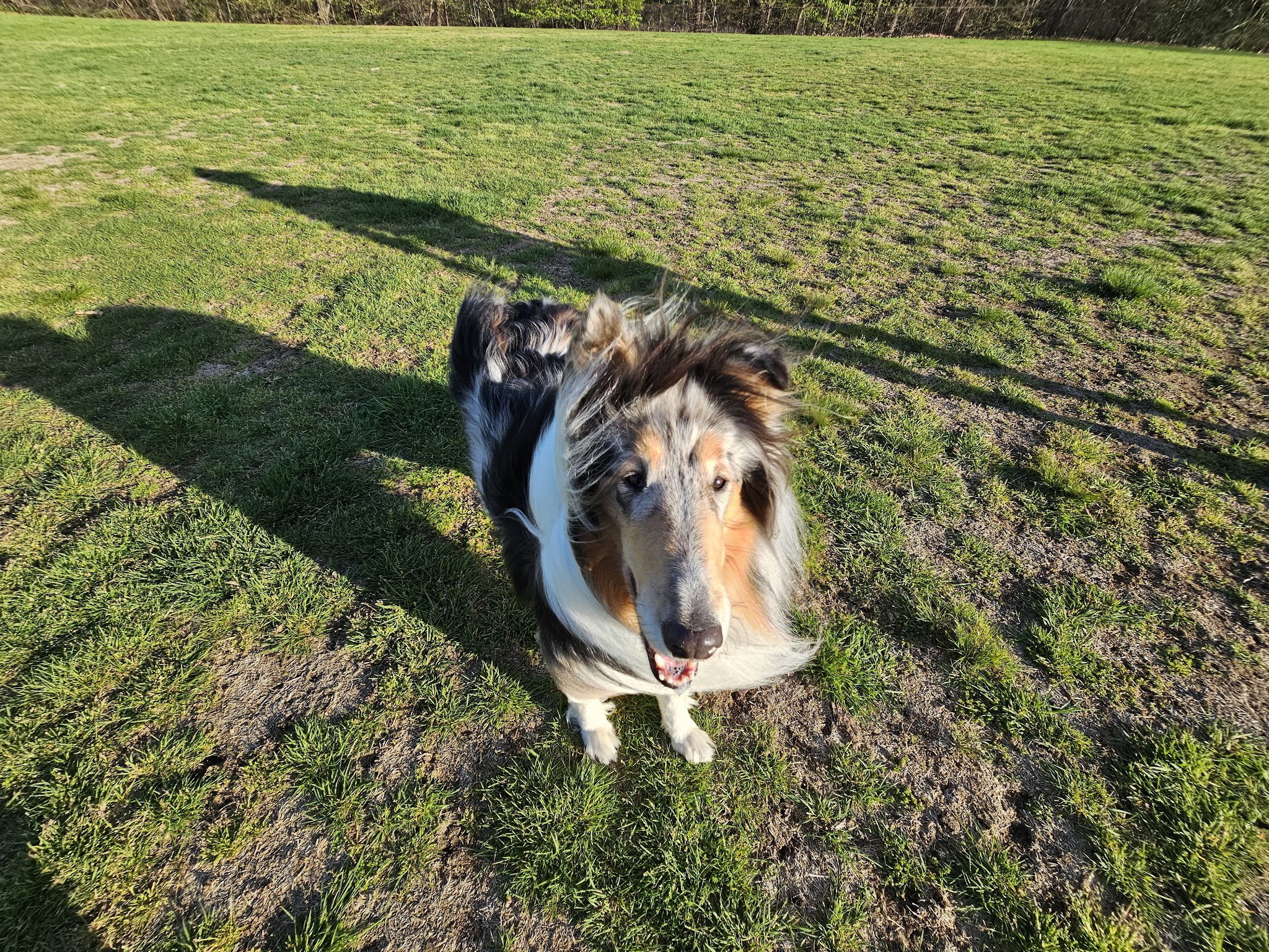 Bobby Braceland Playground - Newton, MA