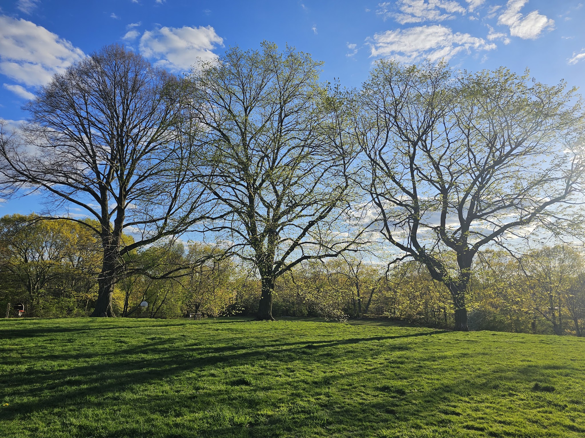 Bobby Braceland Playground - Newton, MA