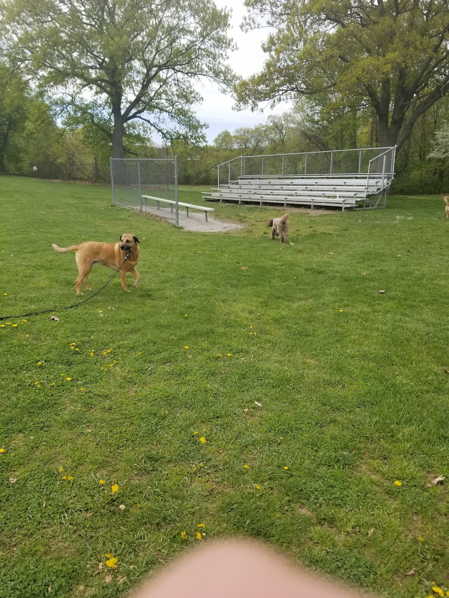 Bobby Braceland Playground - Newton, MA