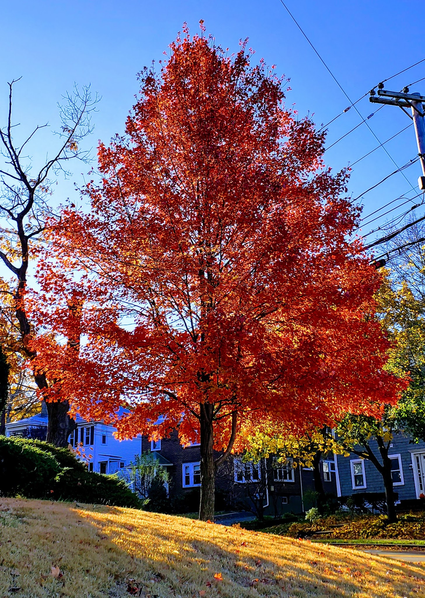 Cabot Park - Newton, MA