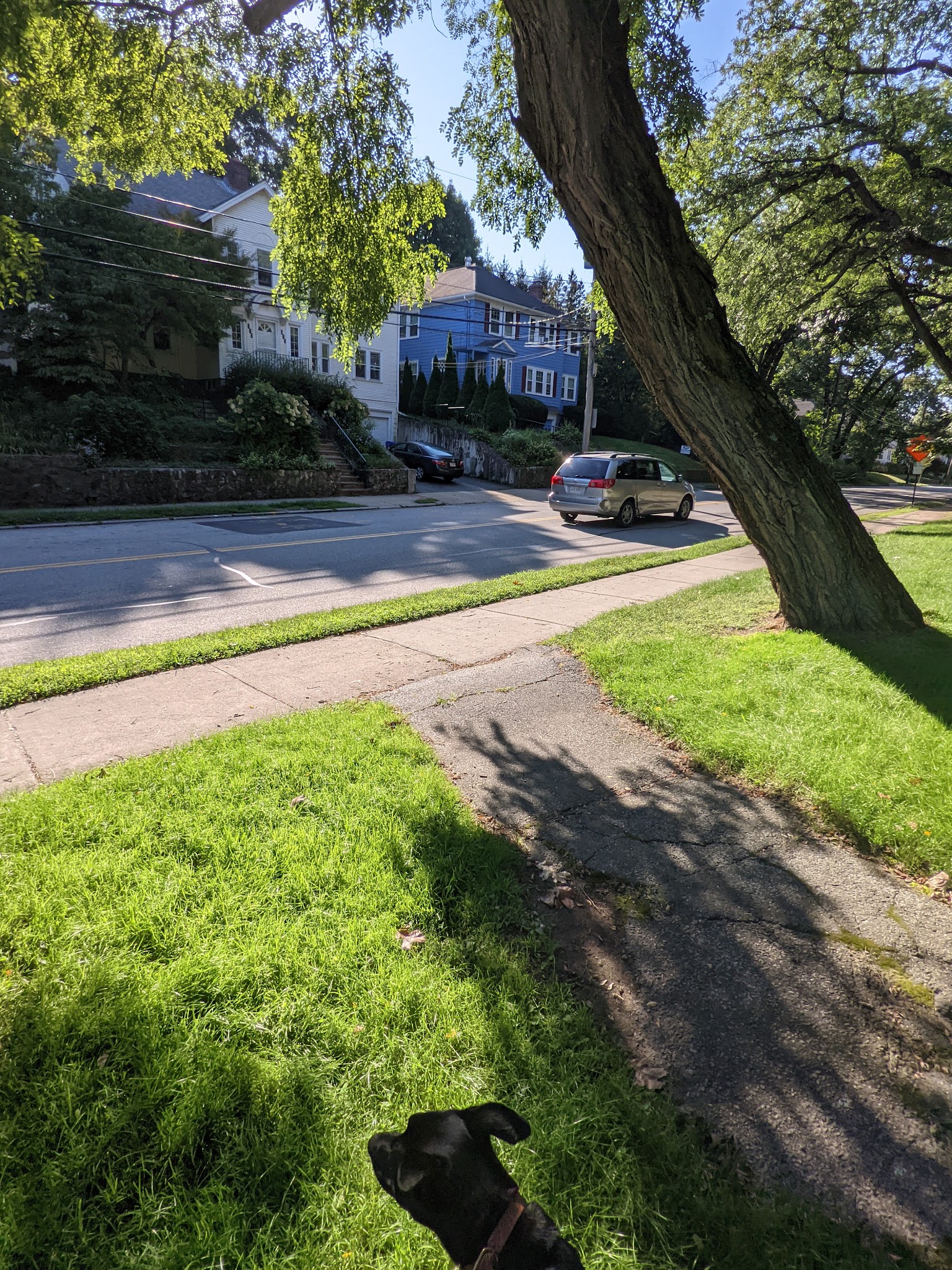 Claflin Playground - Newton, MA