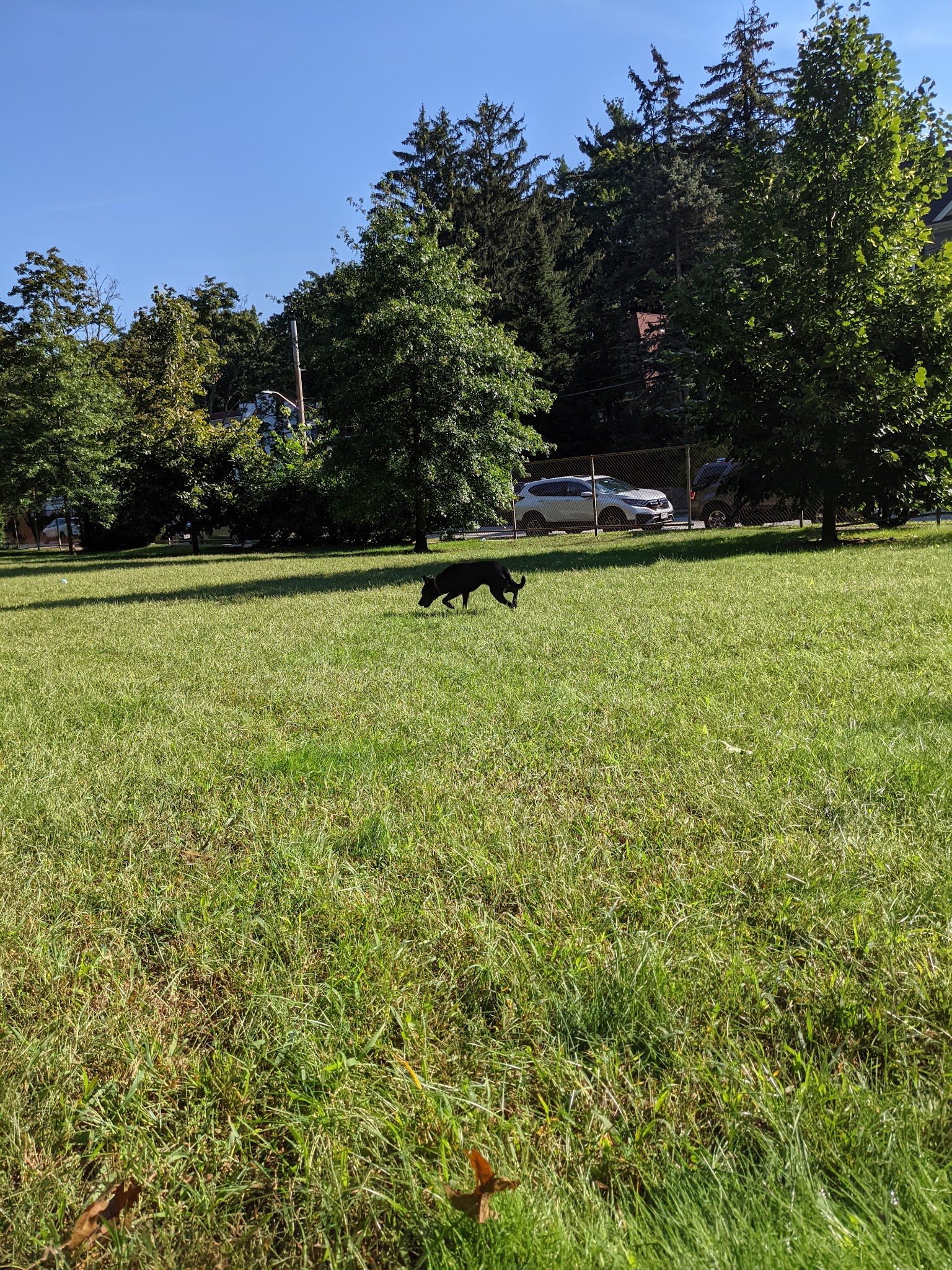 Claflin Playground - Newton, MA
