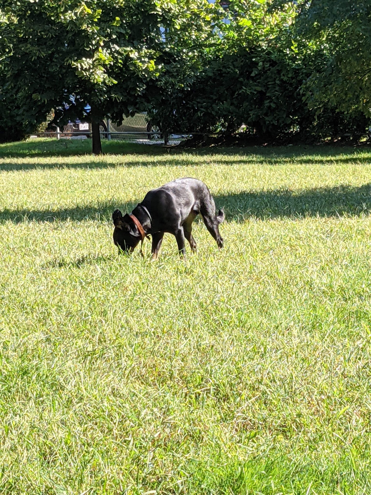 Claflin Playground - Newton, MA