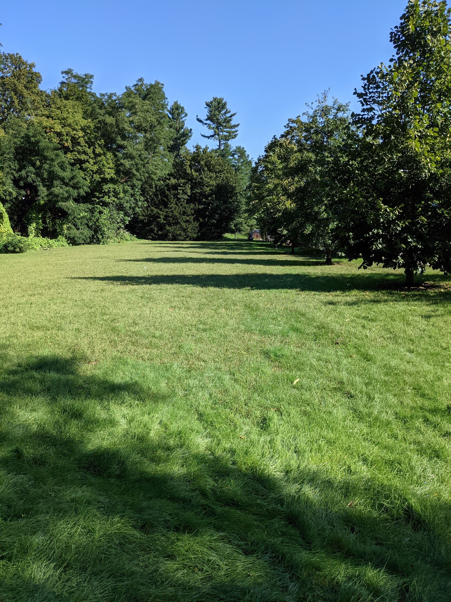 Claflin Playground - Newton, MA