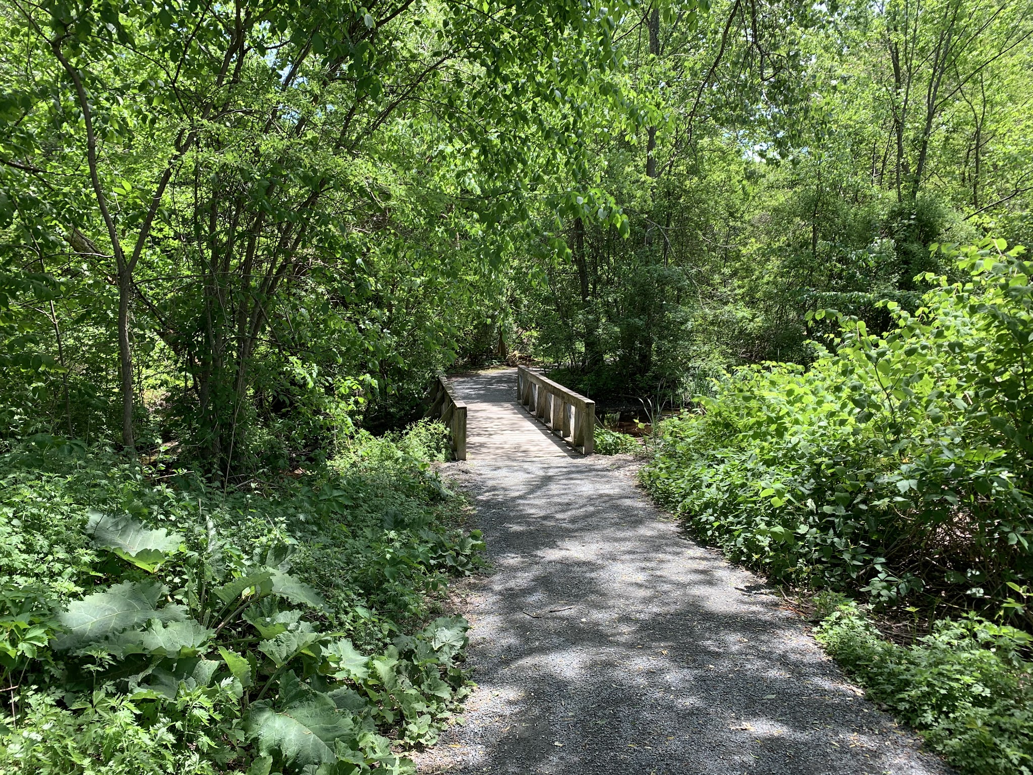 Cold Spring Park - Newton, MA