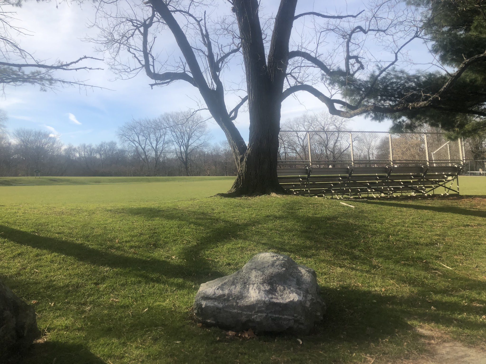 Cold Spring Park - Newton, MA