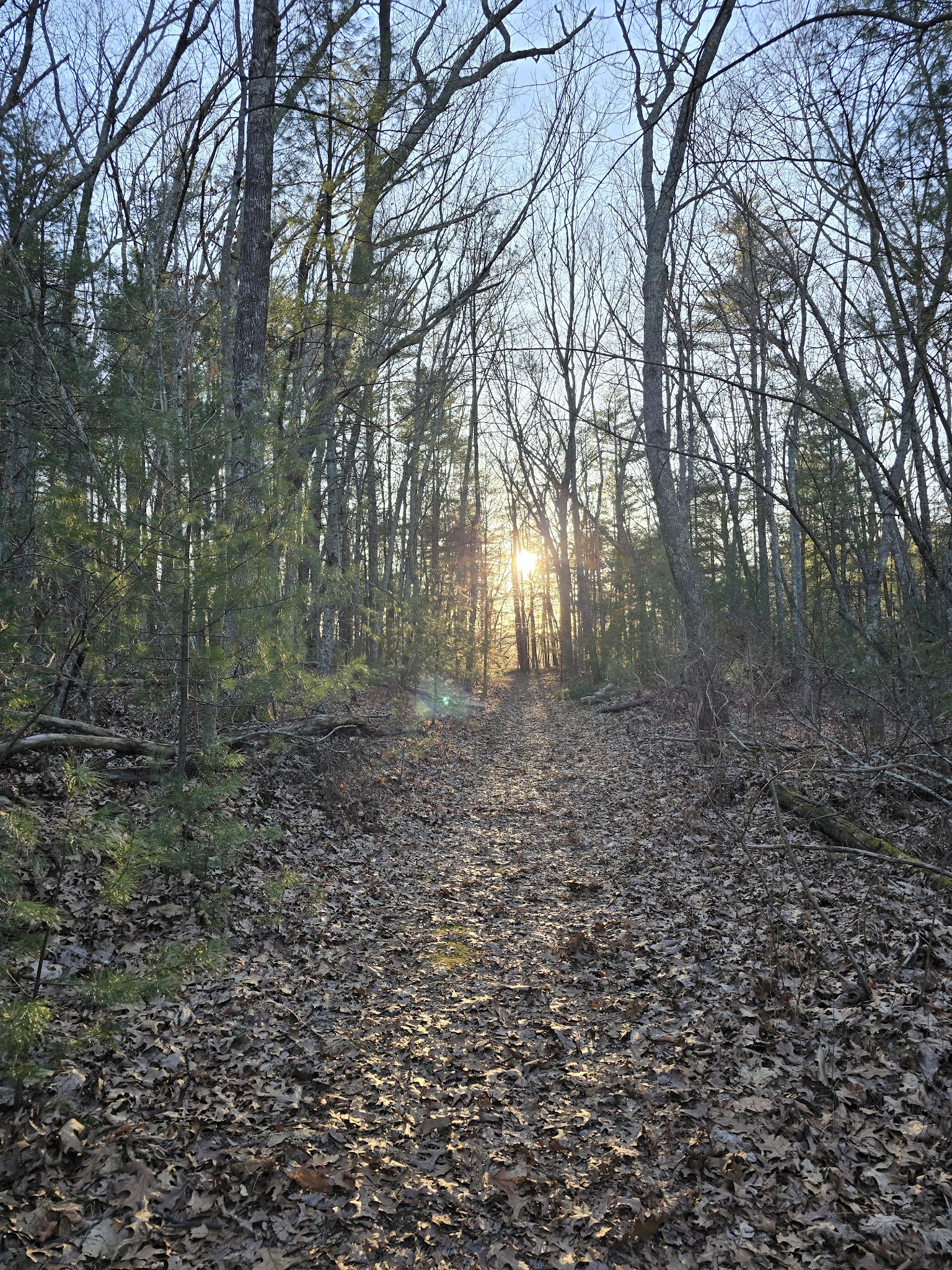 Cold Spring Park - Newton, MA