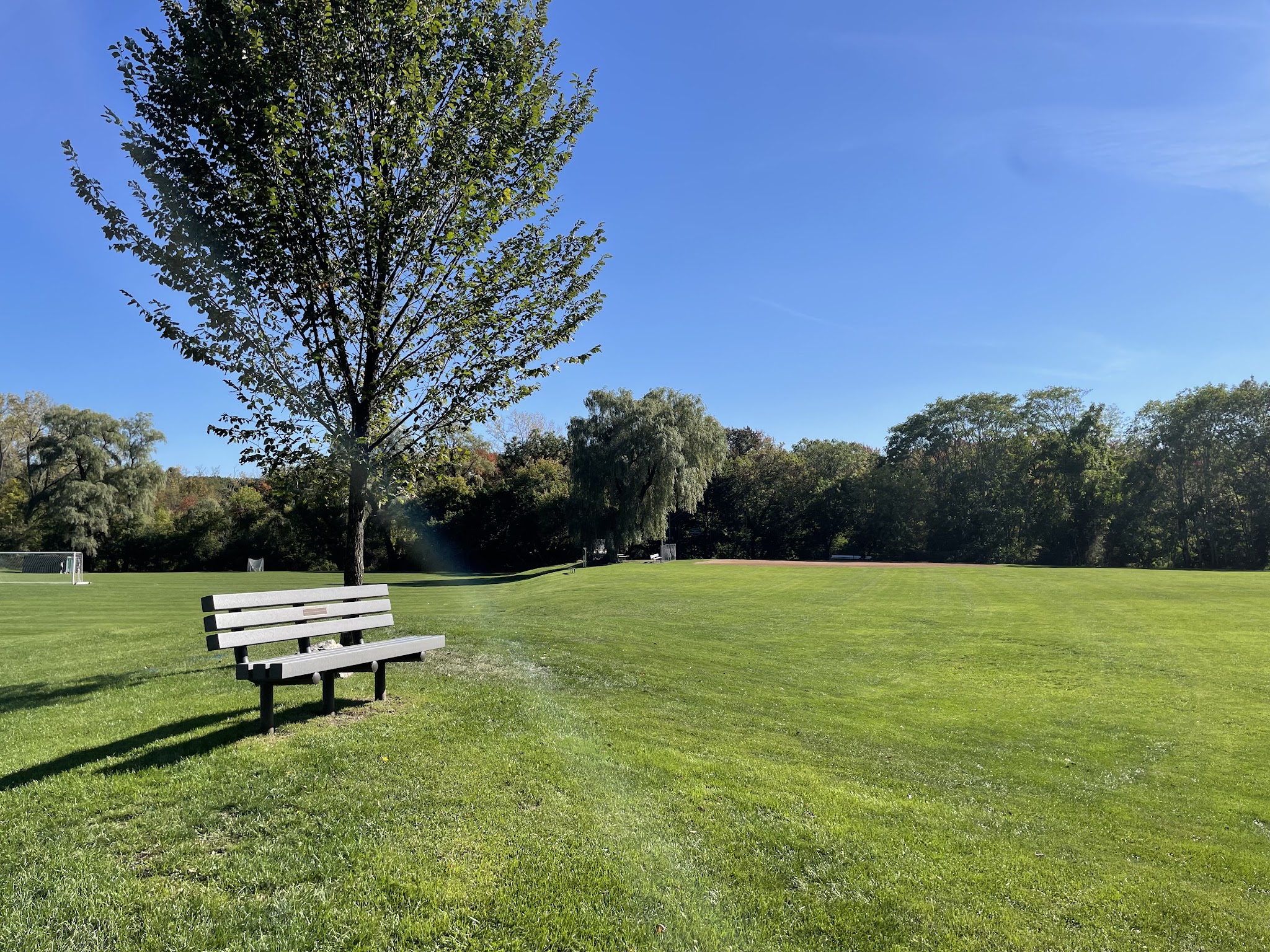 Cold Spring Park - Newton, MA