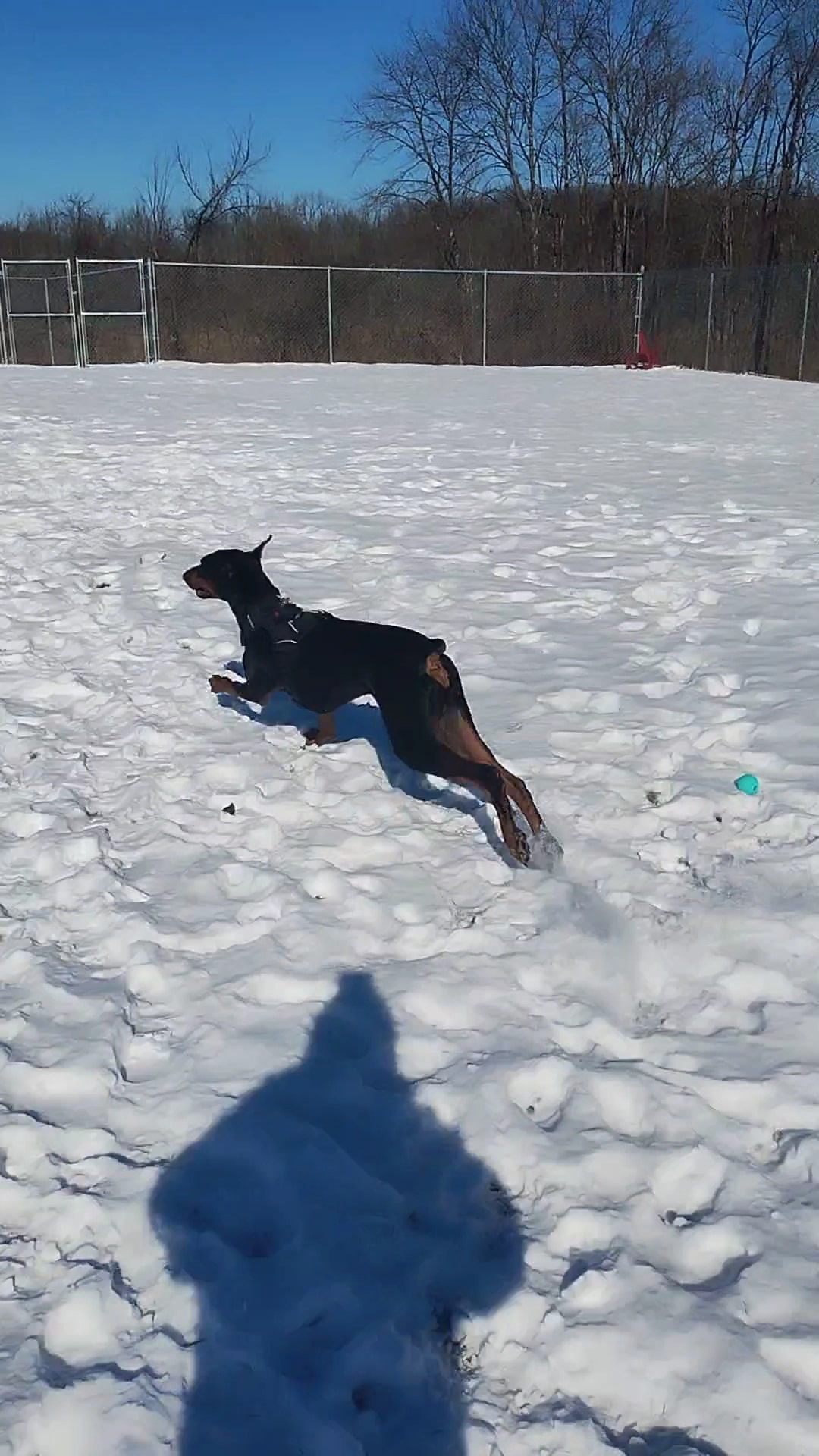 Memory Park - Newton, NJ