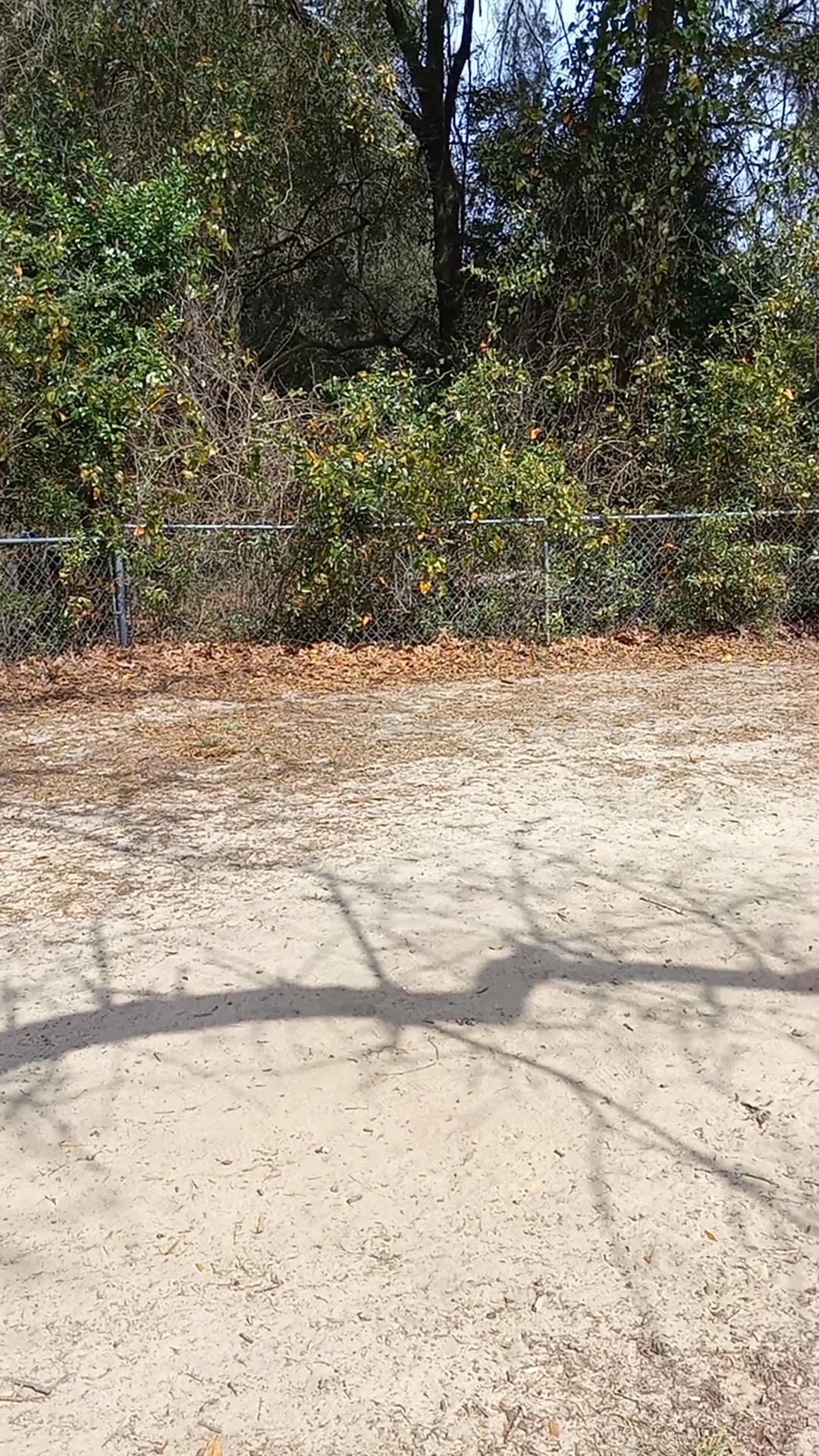 Niceville Dog Park - Niceville, FL