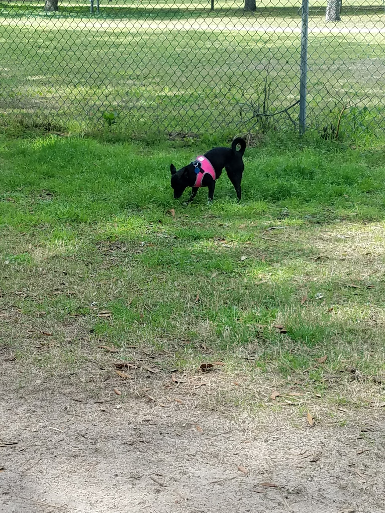 Niceville Dog Park - Niceville, FL