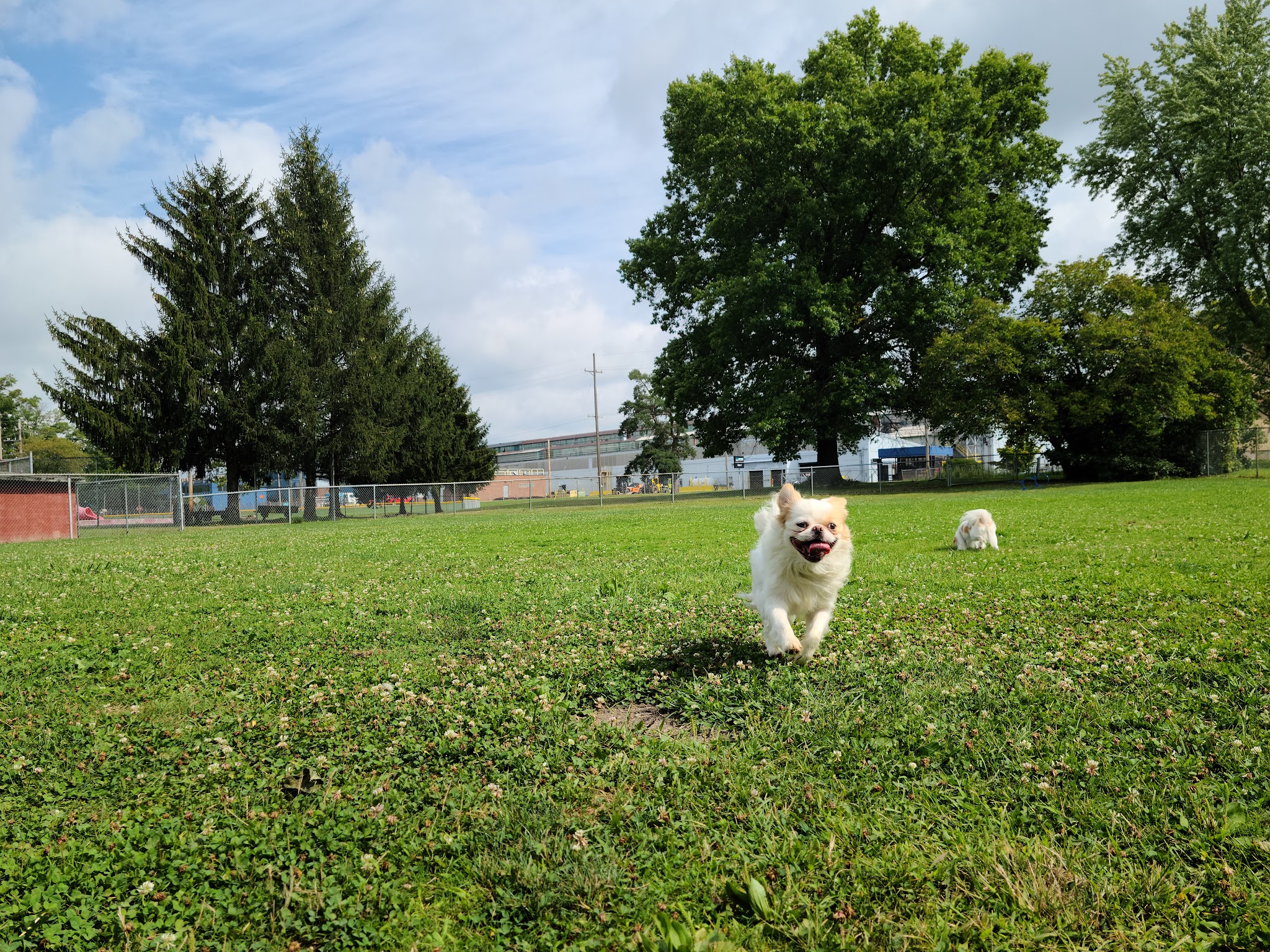 Waddell Park Dog Park - Niles, OH