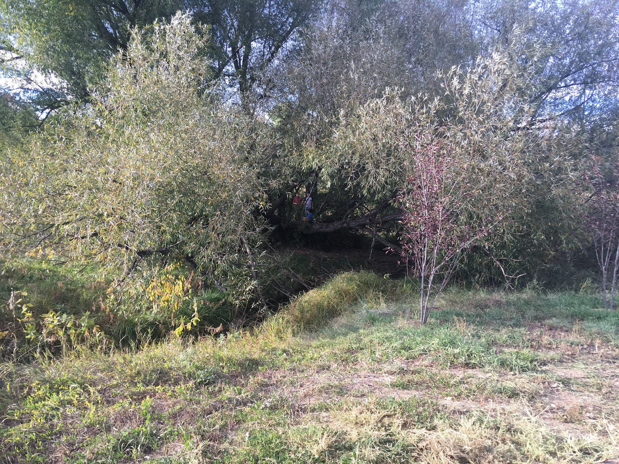 Left Hand Grange Park - Niwot, CO