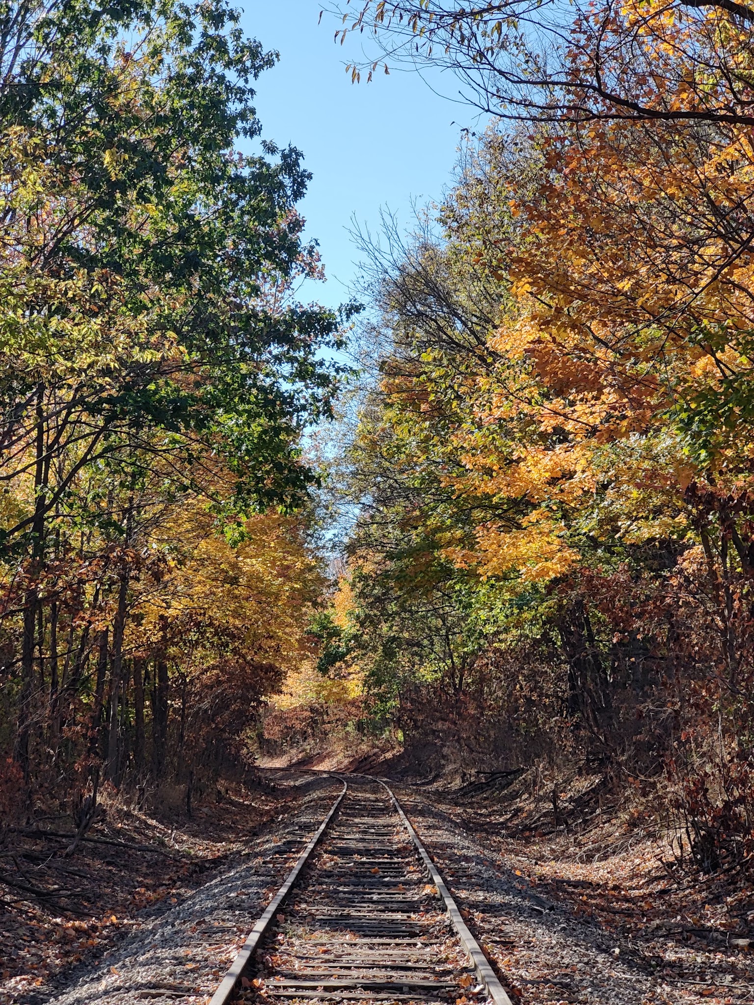 Forest Park - Noblesville, IN