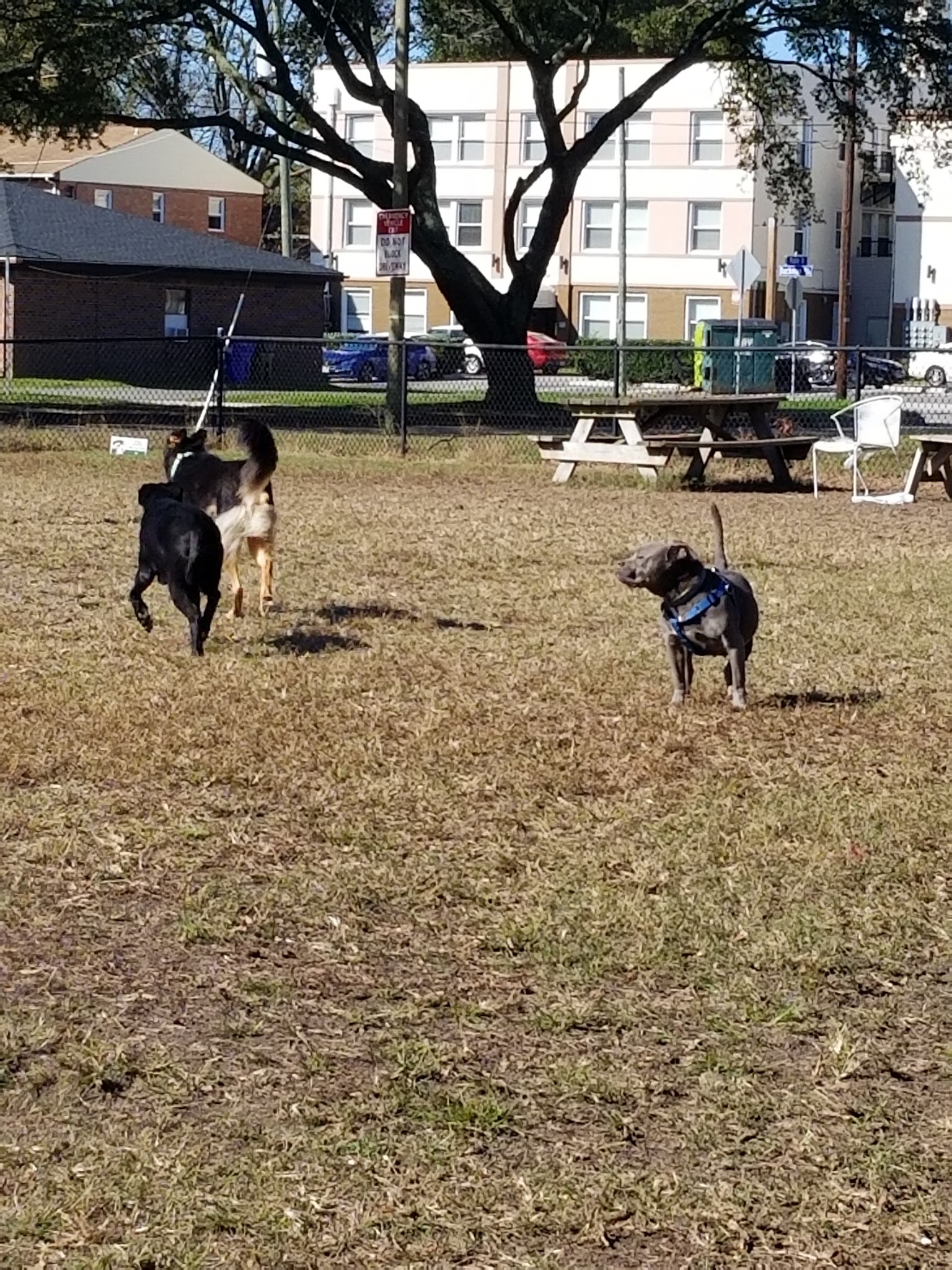 Ocean View Dog Park - Norfolk, VA