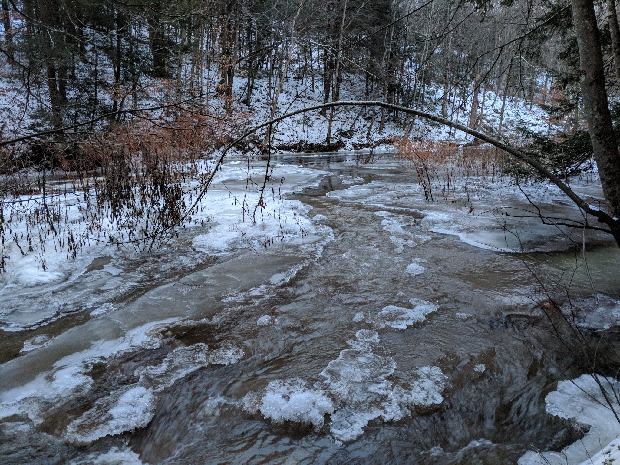 Messimer Preserve - North Abington Township, PA
