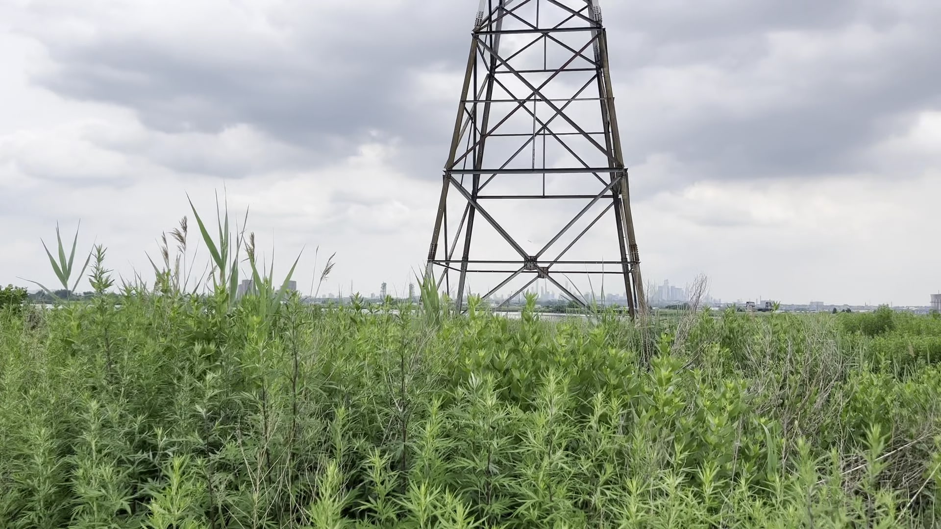 Sawmill Creek Trail & Transco Trail - North Arlington, NJ