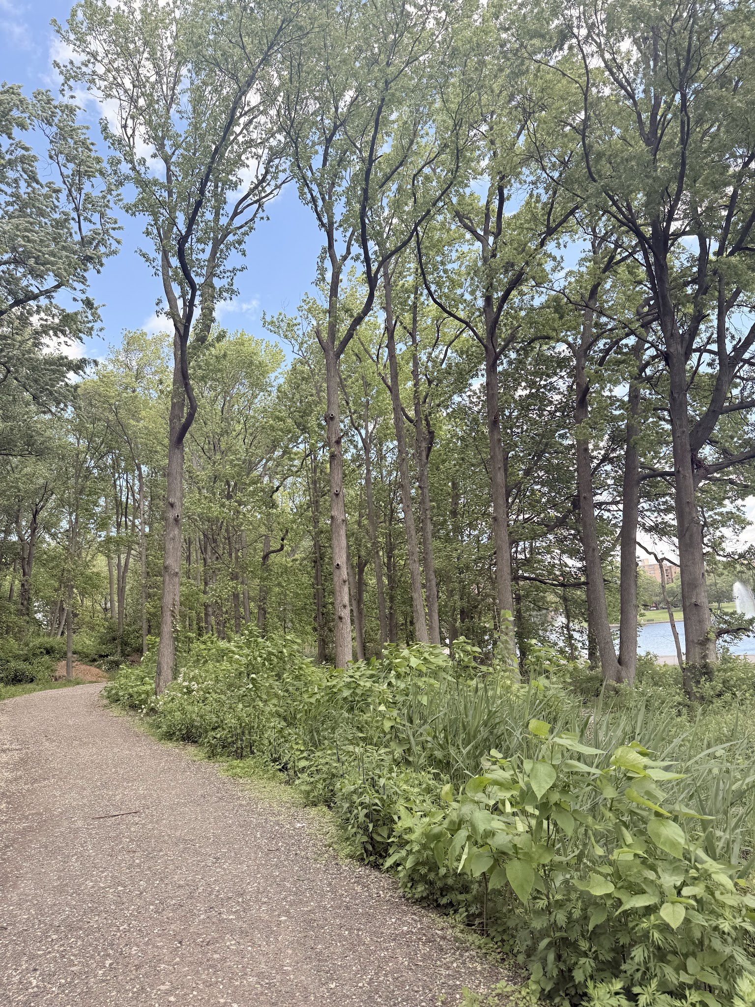 North Bergen 80th Street Park - North Bergen, NJ