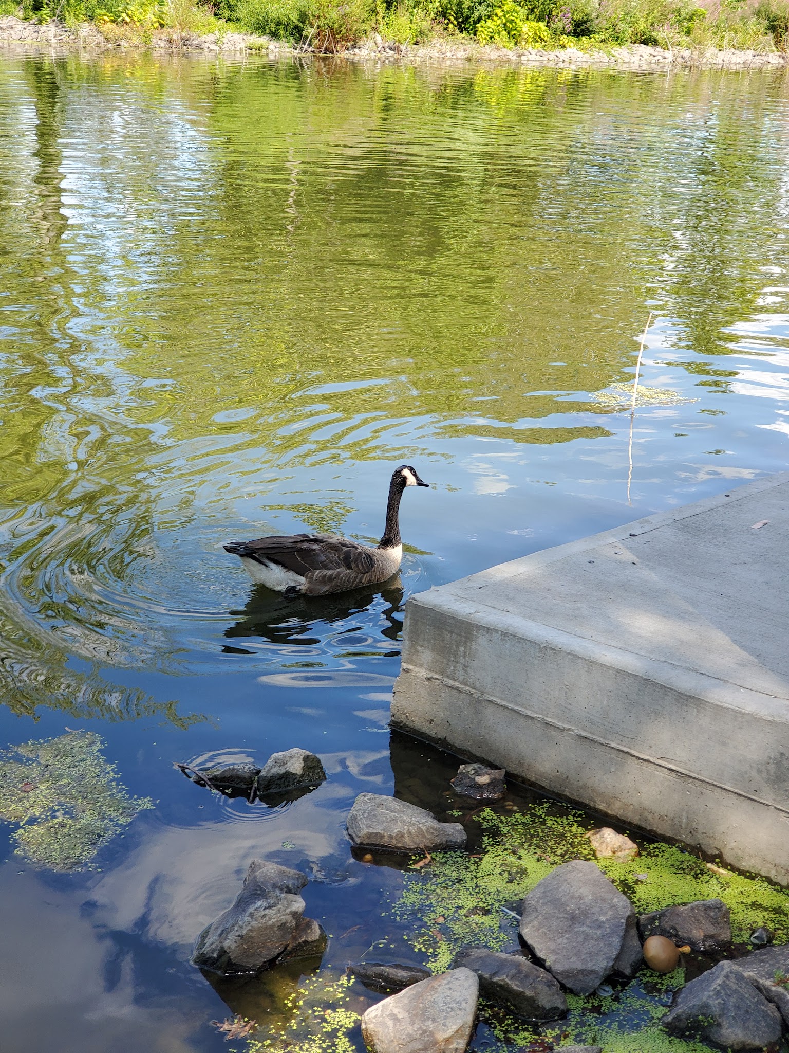 North Bergen 80th Street Park - North Bergen, NJ