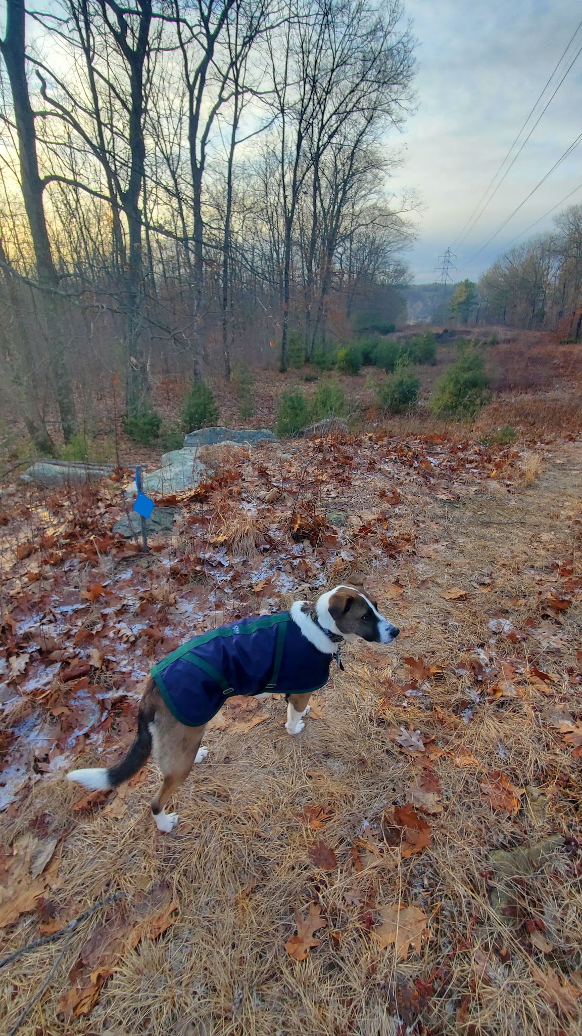 Town Park - North Brookfield, MA