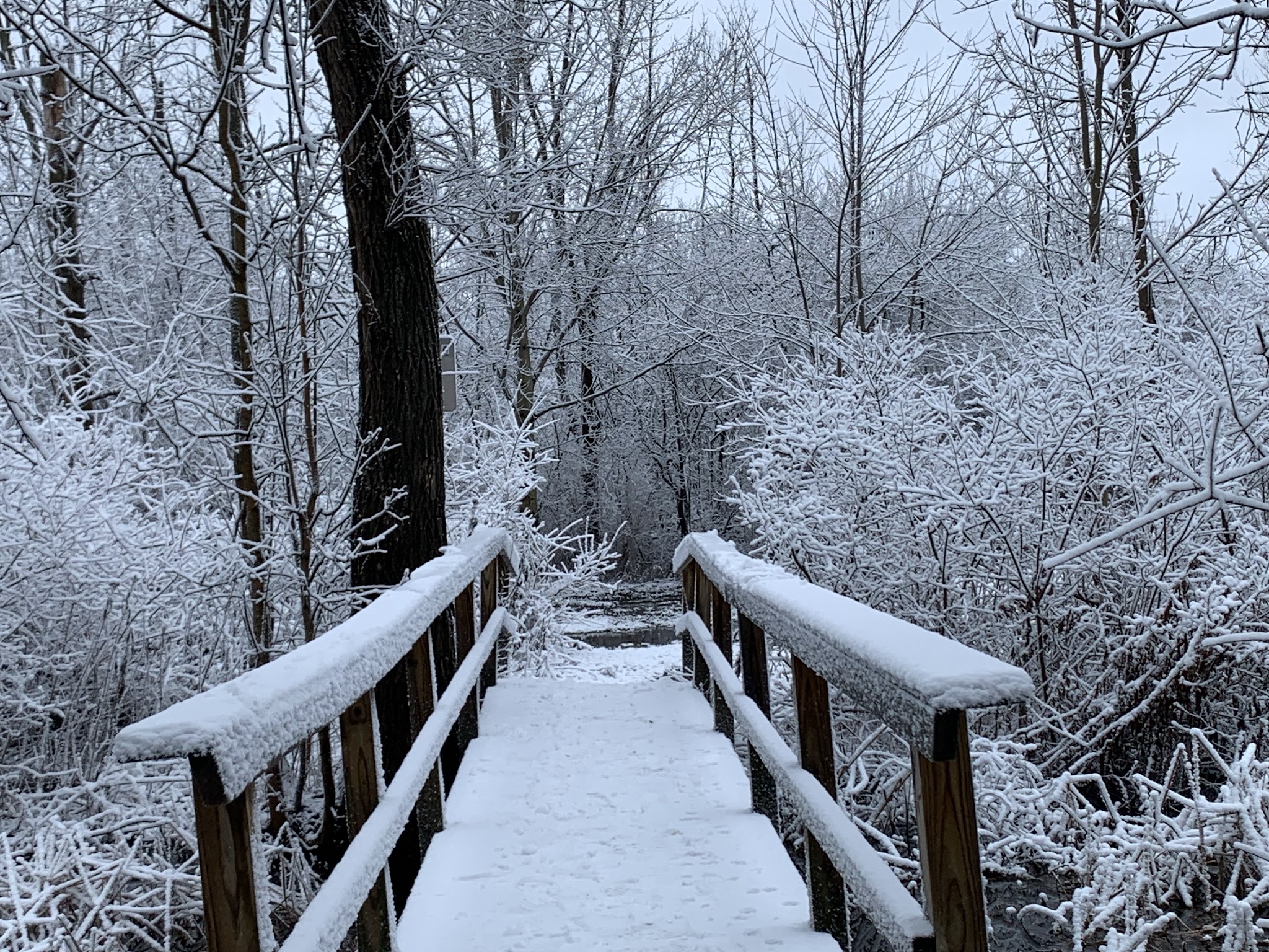 Black Creek Park - North Chili, NY