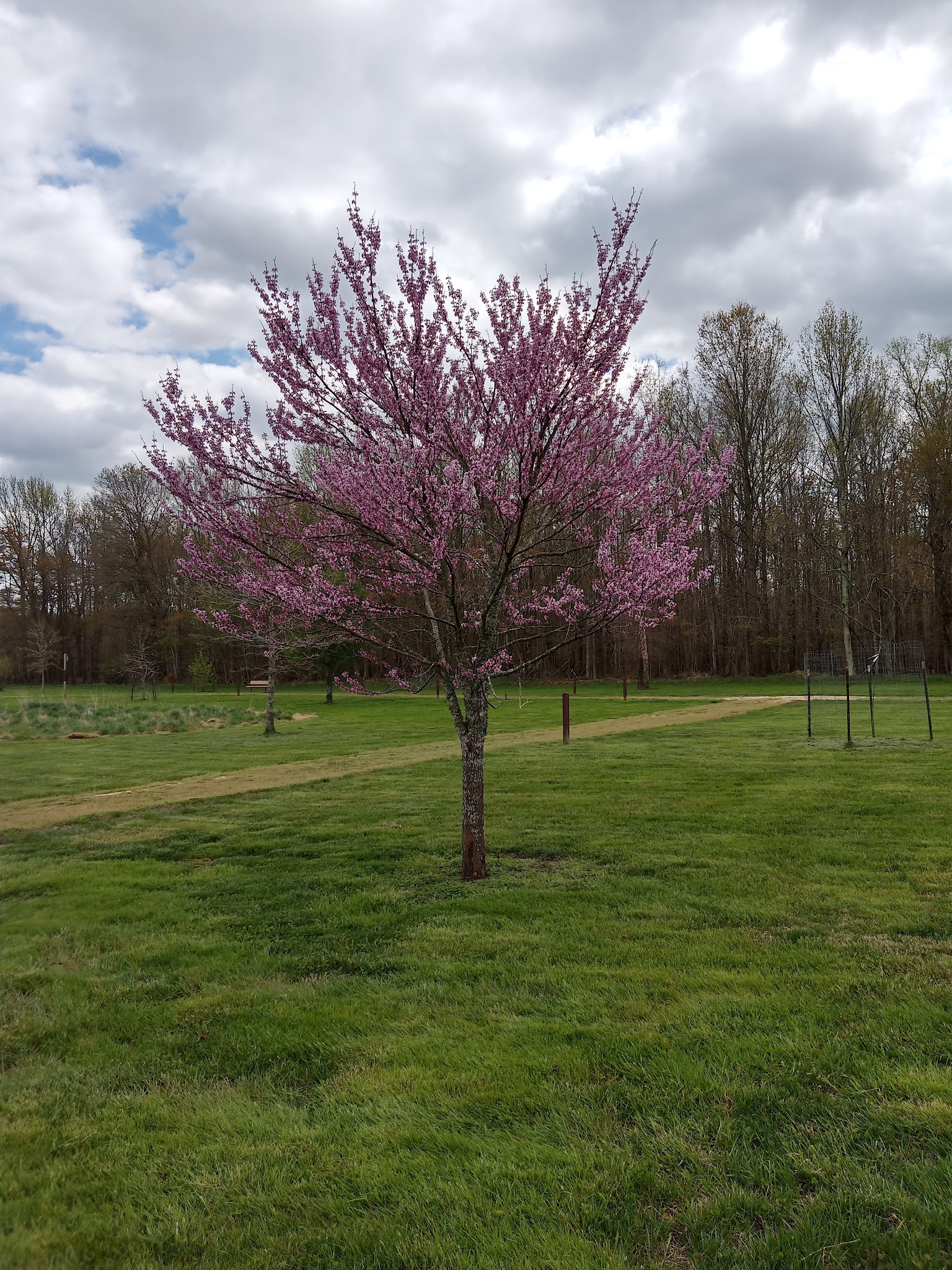 Elk Neck Arboretum Area Parking - North East, MD